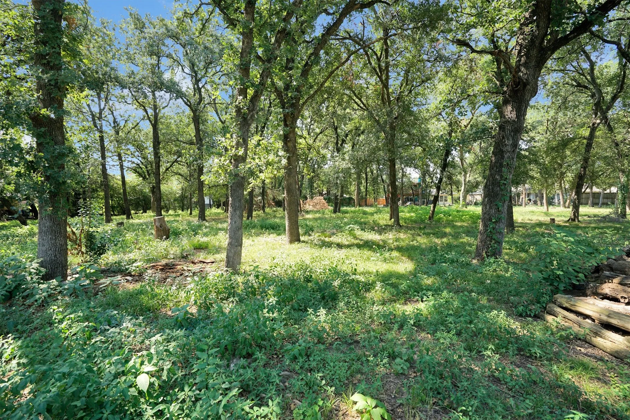 Pasture