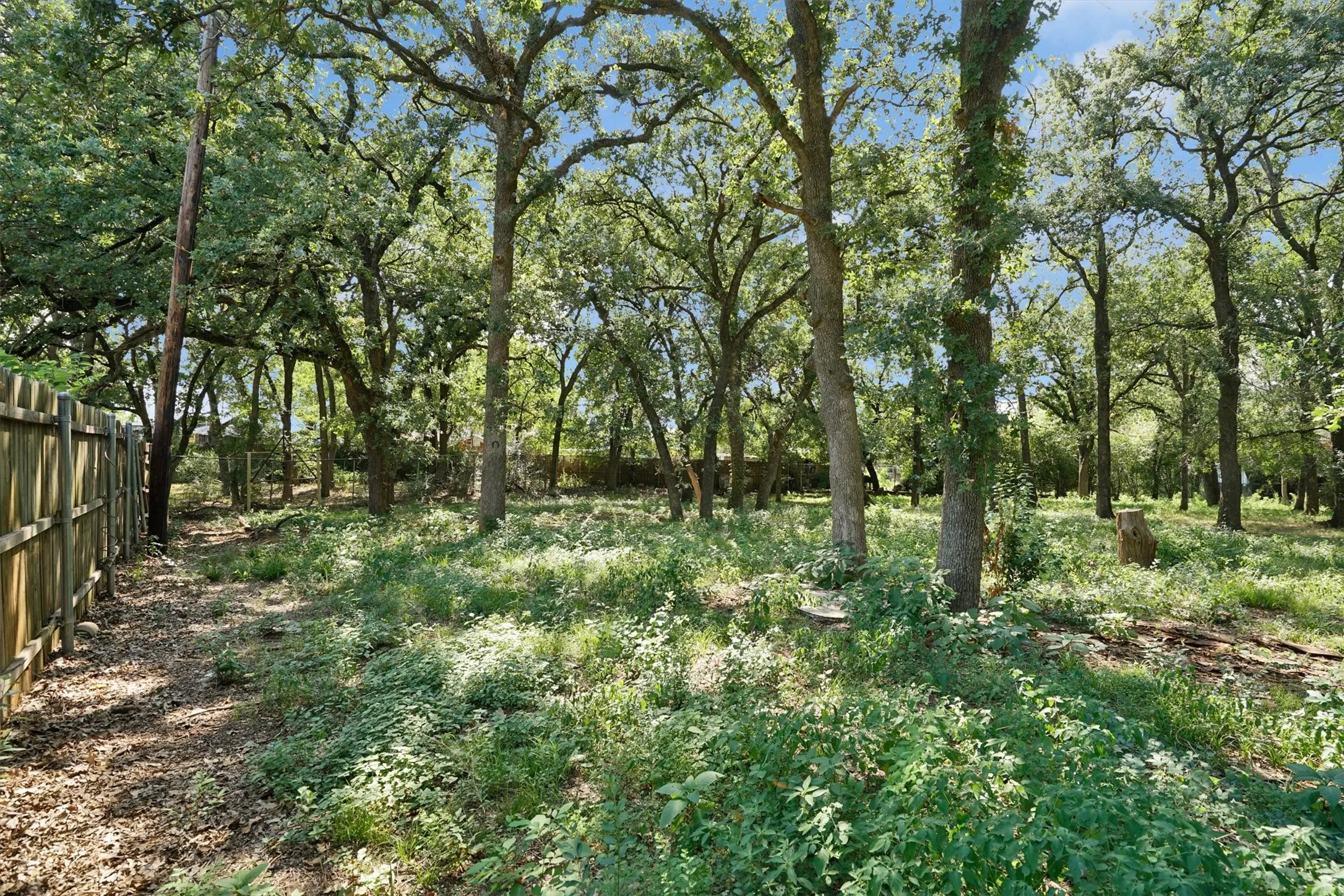 Pasture