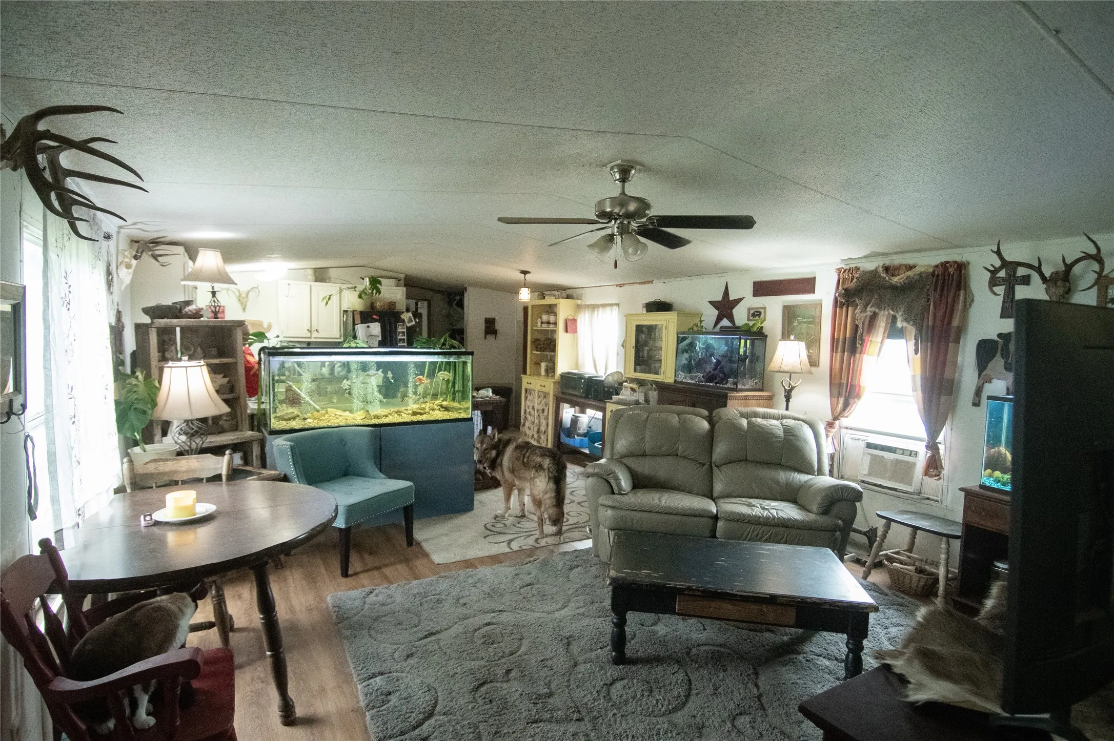 Living room view from front entry