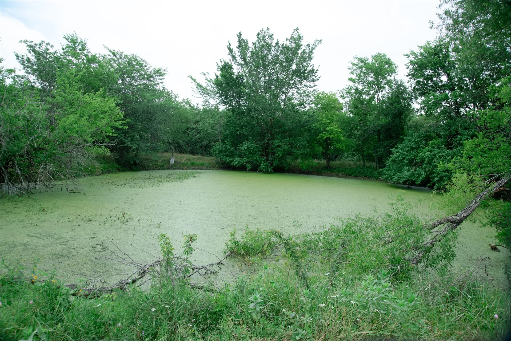 Mobile Home For Sale in Hunt County , 5997 County Road 3214, Lone Oak, Texas 75453, 3 Bedroom, 2 Bathroom, Garage spaces, 1,152 Sqft, built in 2002, mls#21295203, Real Estate Agent in Lone Oak, Homes For Sale in Hunt county, Homes For Sale in Lone Oak, Realtor in Lone Oak Texas, Real Estate Brokerage Independent Realty Texas, Luminita Cordes Realtor