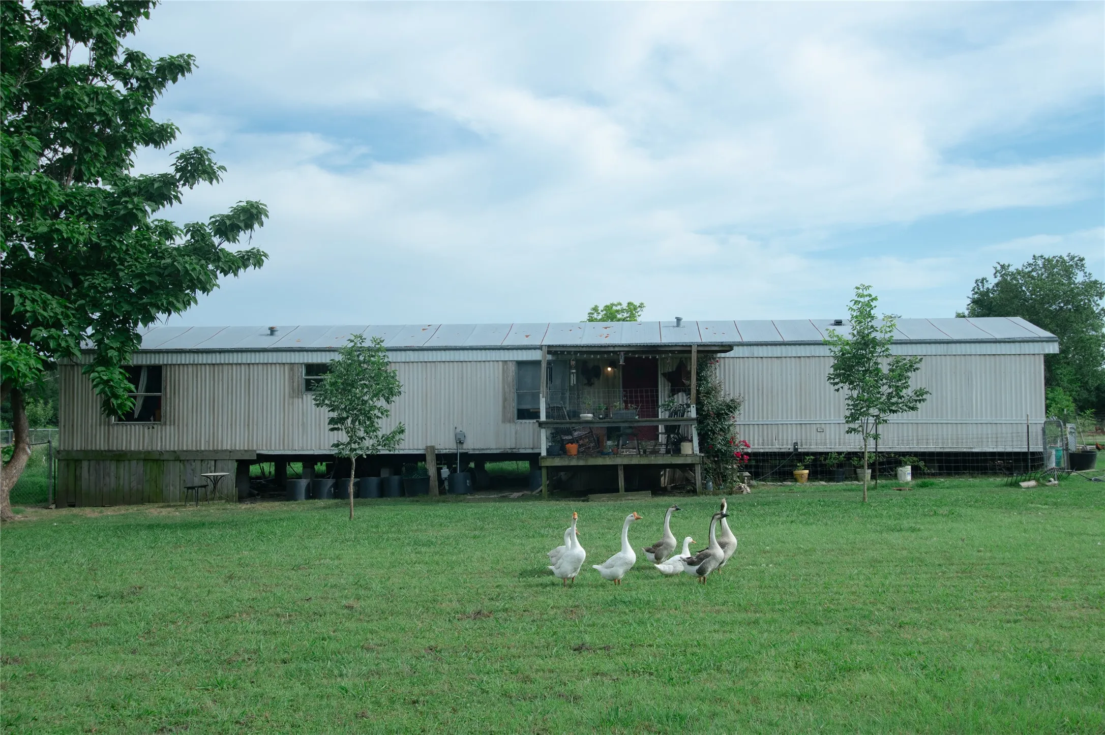 Mobile Home For Sale in Hunt County , 5997 County Road 3214, Lone Oak, Texas 75453, 3 Bedroom, 2 Bathroom, Garage spaces, 1,152 Sqft, built in 2002, mls#21295203, Real Estate Agent in Lone Oak, Homes For Sale in Hunt county, Homes For Sale in Lone Oak, Realtor in Lone Oak Texas, Real Estate Brokerage Independent Realty Texas, Luminita Cordes Realtor