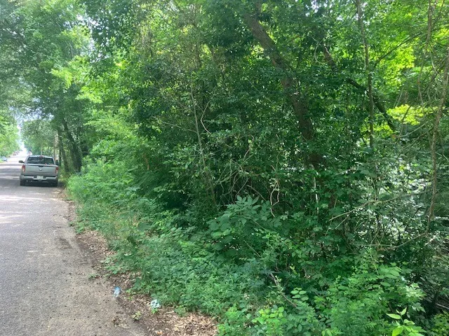 Unimproved Land For Sale in Smith County , 1315 N Fannin Avenue, Tyler, Texas 75702, 0, 0, Garage spaces, 0 Sqft, built in 0, mls#21298405, Real Estate Agent in Tyler, Homes For Sale in Smith county, Homes For Sale in Tyler, Realtor in Tyler Texas, Real Estate Brokerage Independent Realty Texas, Luminita Cordes Realtor