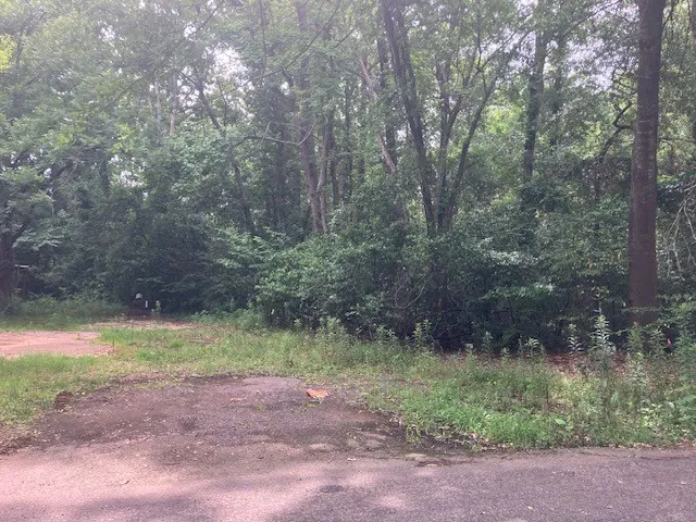 Unimproved Land For Sale in Smith County , 1315 N Fannin Avenue, Tyler, Texas 75702, 0, 0, Garage spaces, 0 Sqft, built in 0, mls#21298405, Real Estate Agent in Tyler, Homes For Sale in Smith county, Homes For Sale in Tyler, Realtor in Tyler Texas, Real Estate Brokerage Independent Realty Texas, Luminita Cordes Realtor