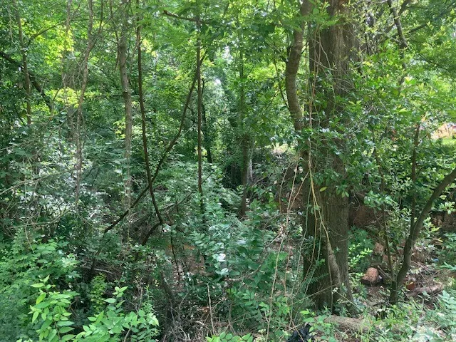 Unimproved Land For Sale in Smith County , 1315 N Fannin Avenue, Tyler, Texas 75702, 0, 0, Garage spaces, 0 Sqft, built in 0, mls#21298405, Real Estate Agent in Tyler, Homes For Sale in Smith county, Homes For Sale in Tyler, Realtor in Tyler Texas, Real Estate Brokerage Independent Realty Texas, Luminita Cordes Realtor