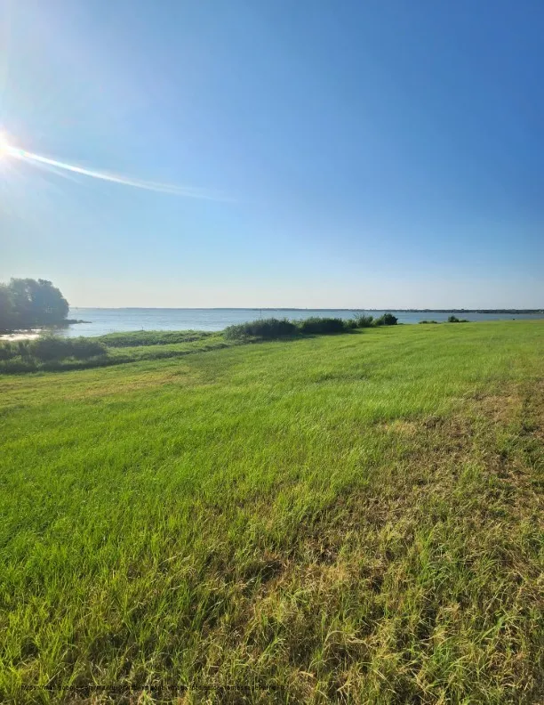 Unimproved Land For Sale in Navarro County , 00 SE County Road, Kerens, Texas 75144, 0, 0, Garage spaces, 0 Sqft, built in 0, Price $244,900, mls#21300435, Real Estate Agent in Kerens, Homes For Sale in Navarro county, Homes For Sale in Kerens, Realtor in Kerens Texas, Real Estate Brokerage Independent Realty Texas, Luminita Cordes Realtor