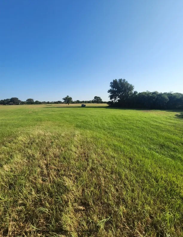 Unimproved Land For Sale in Navarro County , 00 SE County Road, Kerens, Texas 75144, 0, 0, Garage spaces, 0 Sqft, built in 0, Price $244,900, mls#21300435, Real Estate Agent in Kerens, Homes For Sale in Navarro county, Homes For Sale in Kerens, Realtor in Kerens Texas, Real Estate Brokerage Independent Realty Texas, Luminita Cordes Realtor