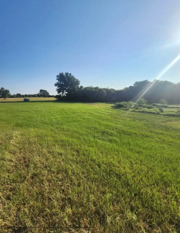 Unimproved Land For Sale in Navarro County , 00 SE County Road, Kerens, Texas 75144, 0, 0, Garage spaces, 0 Sqft, built in 0, Price $244,900, mls#21300435, Real Estate Agent in Kerens, Homes For Sale in Navarro county, Homes For Sale in Kerens, Realtor in Kerens Texas, Real Estate Brokerage Independent Realty Texas, Luminita Cordes Realtor
