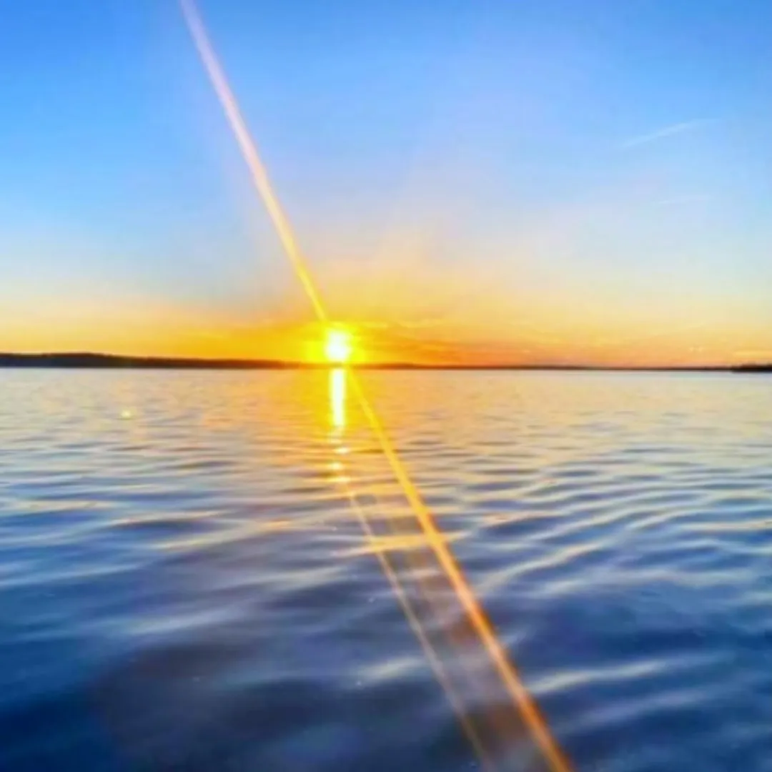 Unimproved Land For Sale in Navarro County , 00 SE County Road, Kerens, Texas 75144, 0, 0, Garage spaces, 0 Sqft, built in 0, Price $244,900, mls#21300435, Real Estate Agent in Kerens, Homes For Sale in Navarro county, Homes For Sale in Kerens, Realtor in Kerens Texas, Real Estate Brokerage Independent Realty Texas, Luminita Cordes Realtor
