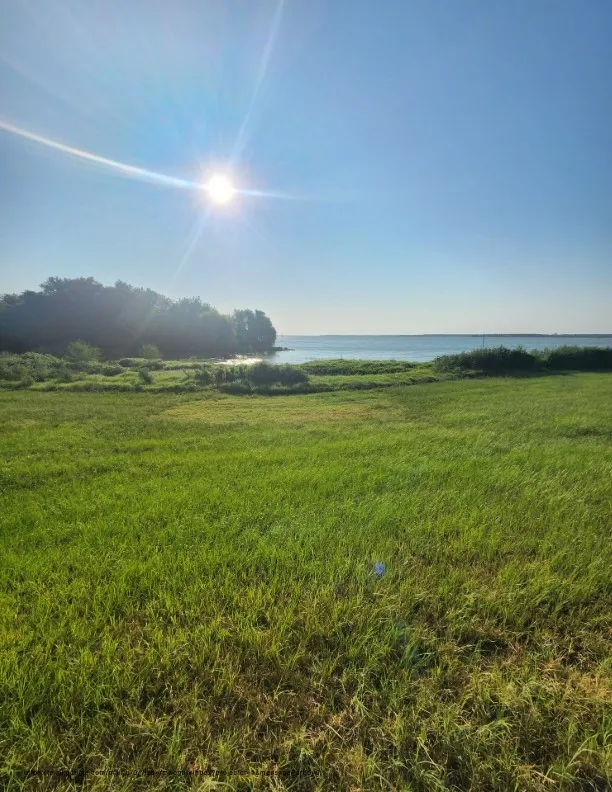 Unimproved Land For Sale in Navarro County , 00 SE County Road, Kerens, Texas 75144, 0, 0, Garage spaces, 0 Sqft, built in 0, Price $244,900, mls#21300435, Real Estate Agent in Kerens, Homes For Sale in Navarro county, Homes For Sale in Kerens, Realtor in Kerens Texas, Real Estate Brokerage Independent Realty Texas, Luminita Cordes Realtor