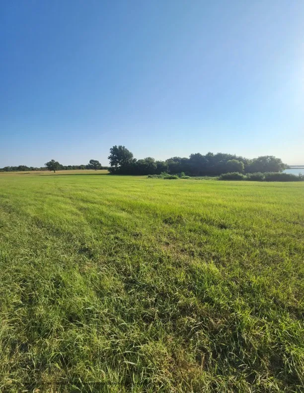 Unimproved Land For Sale in Navarro County , 00 SE County Road, Kerens, Texas 75144, 0, 0, Garage spaces, 0 Sqft, built in 0, Price $244,900, mls#21300435, Real Estate Agent in Kerens, Homes For Sale in Navarro county, Homes For Sale in Kerens, Realtor in Kerens Texas, Real Estate Brokerage Independent Realty Texas, Luminita Cordes Realtor