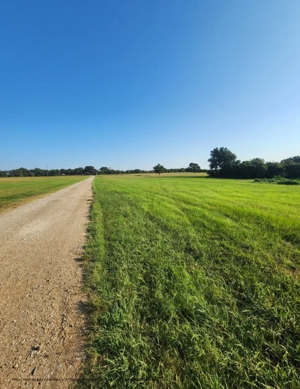 Unimproved Land For Sale in Navarro County , 00 SE County Road, Kerens, Texas 75144, 0, 0, Garage spaces, 0 Sqft, built in 0, Price $244,900, mls#21300435, Real Estate Agent in Kerens, Homes For Sale in Navarro county, Homes For Sale in Kerens, Realtor in Kerens Texas, Real Estate Brokerage Independent Realty Texas, Luminita Cordes Realtor