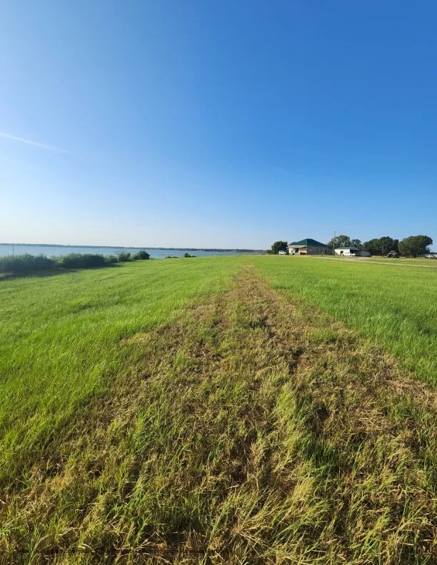 Unimproved Land For Sale in Navarro County , 00 SE County Road, Kerens, Texas 75144, 0, 0, Garage spaces, 0 Sqft, built in 0, Price $244,900, mls#21300435, Real Estate Agent in Kerens, Homes For Sale in Navarro county, Homes For Sale in Kerens, Realtor in Kerens Texas, Real Estate Brokerage Independent Realty Texas, Luminita Cordes Realtor