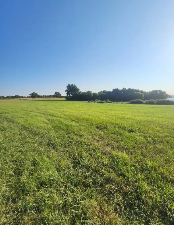 Unimproved Land For Sale in Navarro County , 00 SE County Road, Kerens, Texas 75144, 0, 0, Garage spaces, 0 Sqft, built in 0, Price $244,900, mls#21300435, Real Estate Agent in Kerens, Homes For Sale in Navarro county, Homes For Sale in Kerens, Realtor in Kerens Texas, Real Estate Brokerage Independent Realty Texas, Luminita Cordes Realtor