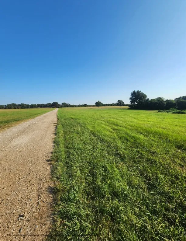 Unimproved Land For Sale in Navarro County , 00 SE County Road, Kerens, Texas 75144, 0, 0, Garage spaces, 0 Sqft, built in 0, Price $244,900, mls#21300435, Real Estate Agent in Kerens, Homes For Sale in Navarro county, Homes For Sale in Kerens, Realtor in Kerens Texas, Real Estate Brokerage Independent Realty Texas, Luminita Cordes Realtor