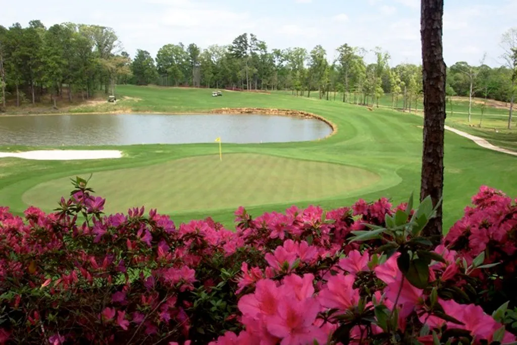 Unimproved Land For Sale in Cherokee County , 107 Winding Oaks Drive, Bullard, Texas 75757, 0, 0, Garage spaces, 0 Sqft, built in 0, mls#21300713, Real Estate Agent in Bullard, Homes For Sale in Cherokee county, Homes For Sale in Bullard, Realtor in Bullard Texas, Real Estate Brokerage Independent Realty Texas, Luminita Cordes Realtor
