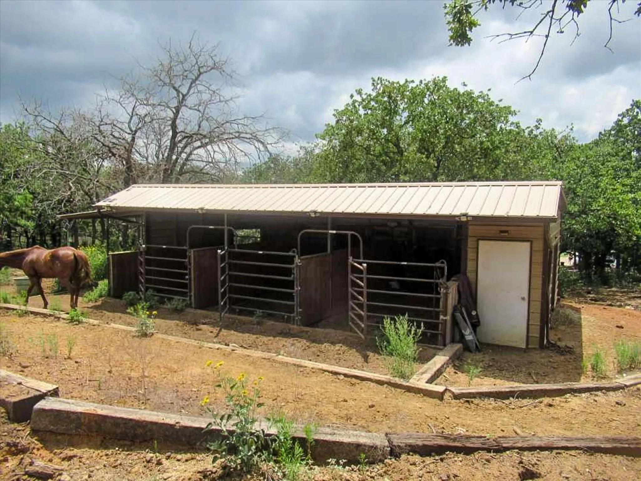 3 Stall Barn with storage tack room and covered parking