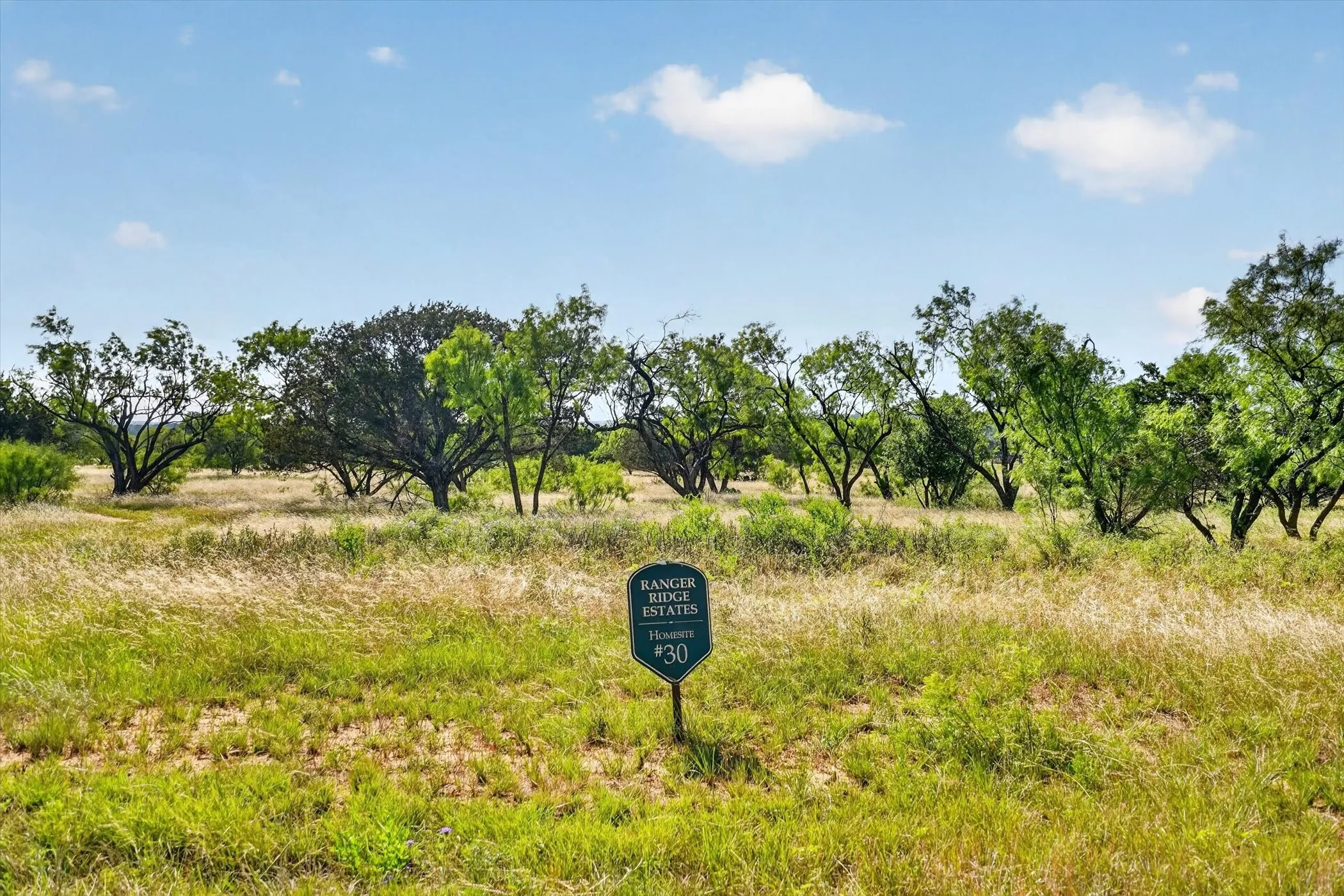 Unimproved Land For Sale in Palo Pinto County , Lot 30 TBD Bigfoot Road, Strawn, Texas 76475, 0, 0, Garage spaces, 0 Sqft, built in 0, mls#21297332, Real Estate Agent in Strawn, Homes For Sale in Palo Pinto county, Homes For Sale in Strawn, Realtor in Strawn Texas, Real Estate Brokerage Independent Realty Texas, Luminita Cordes Realtor