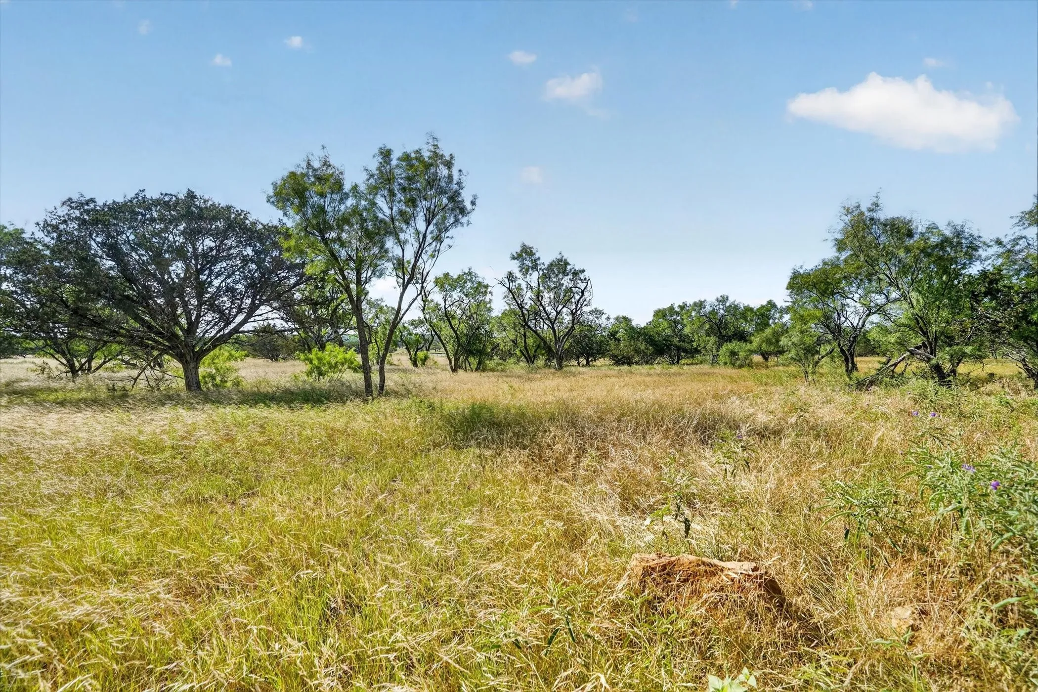 Unimproved Land For Sale in Palo Pinto County , Lot 30 TBD Bigfoot Road, Strawn, Texas 76475, 0, 0, Garage spaces, 0 Sqft, built in 0, mls#21297332, Real Estate Agent in Strawn, Homes For Sale in Palo Pinto county, Homes For Sale in Strawn, Realtor in Strawn Texas, Real Estate Brokerage Independent Realty Texas, Luminita Cordes Realtor