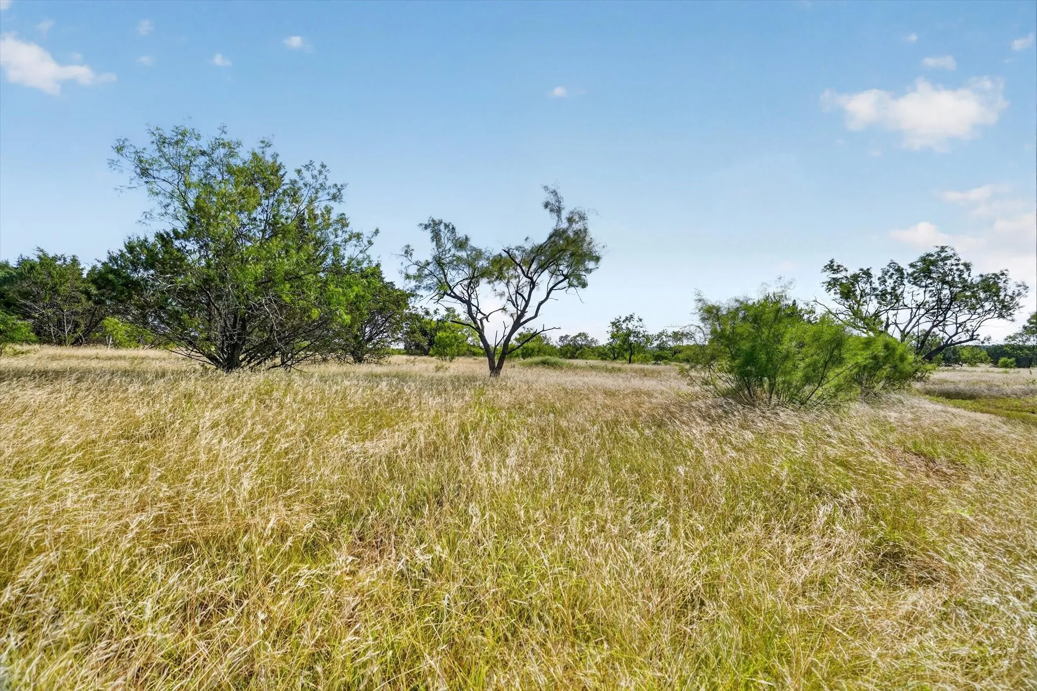 Unimproved Land For Sale in Palo Pinto County , Lot 30 TBD Bigfoot Road, Strawn, Texas 76475, 0, 0, Garage spaces, 0 Sqft, built in 0, mls#21297332, Real Estate Agent in Strawn, Homes For Sale in Palo Pinto county, Homes For Sale in Strawn, Realtor in Strawn Texas, Real Estate Brokerage Independent Realty Texas, Luminita Cordes Realtor