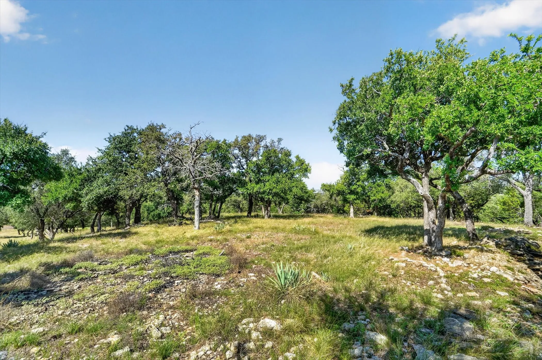 Unimproved Land For Sale in Palo Pinto County , TBD 2 Armstrong Alley, Strawn, Texas 76475, 0, 0, Garage spaces, 0 Sqft, built in 0, mls#21297329, Real Estate Agent in Strawn, Homes For Sale in Palo Pinto county, Homes For Sale in Strawn, Realtor in Strawn Texas, Real Estate Brokerage Independent Realty Texas, Luminita Cordes Realtor