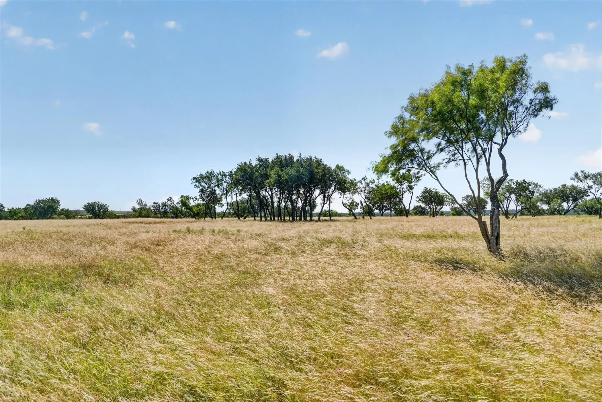 Unimproved Land For Sale in Palo Pinto County , TBD 78 Cavalier Road, Strawn, Texas 76475, 0, 0, Garage spaces, 0 Sqft, built in 0, mls#21297328, Real Estate Agent in Strawn, Homes For Sale in Palo Pinto county, Homes For Sale in Strawn, Realtor in Strawn Texas, Real Estate Brokerage Independent Realty Texas, Luminita Cordes Realtor
