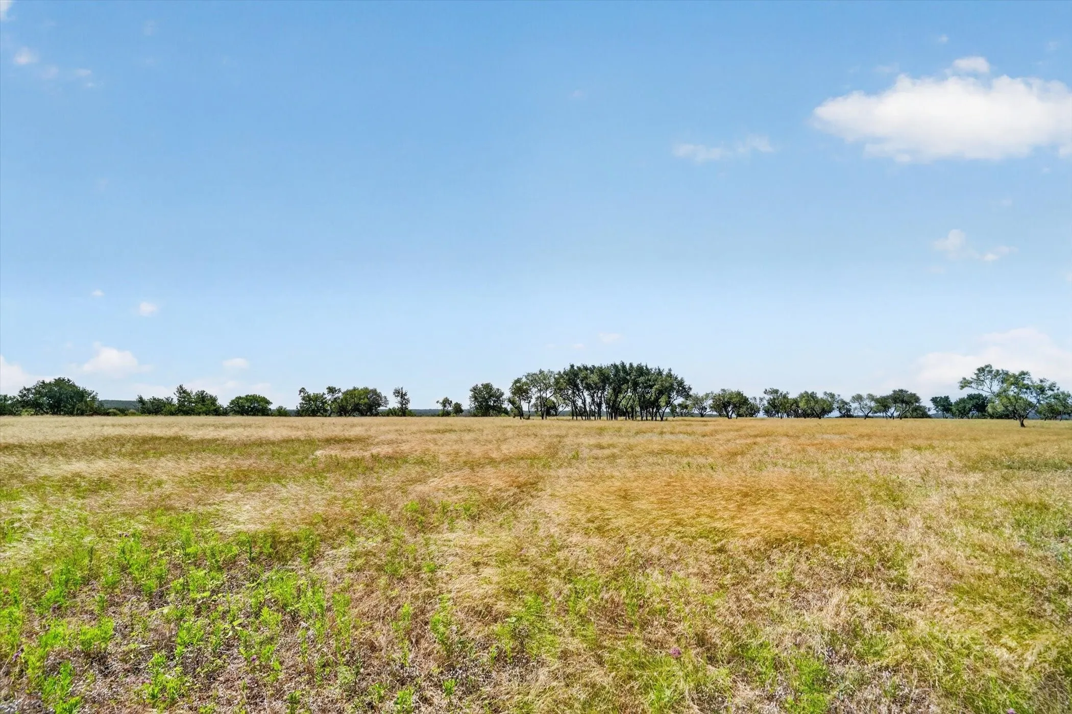 Unimproved Land For Sale in Palo Pinto County , TBD 78 Cavalier Road, Strawn, Texas 76475, 0, 0, Garage spaces, 0 Sqft, built in 0, mls#21297328, Real Estate Agent in Strawn, Homes For Sale in Palo Pinto county, Homes For Sale in Strawn, Realtor in Strawn Texas, Real Estate Brokerage Independent Realty Texas, Luminita Cordes Realtor