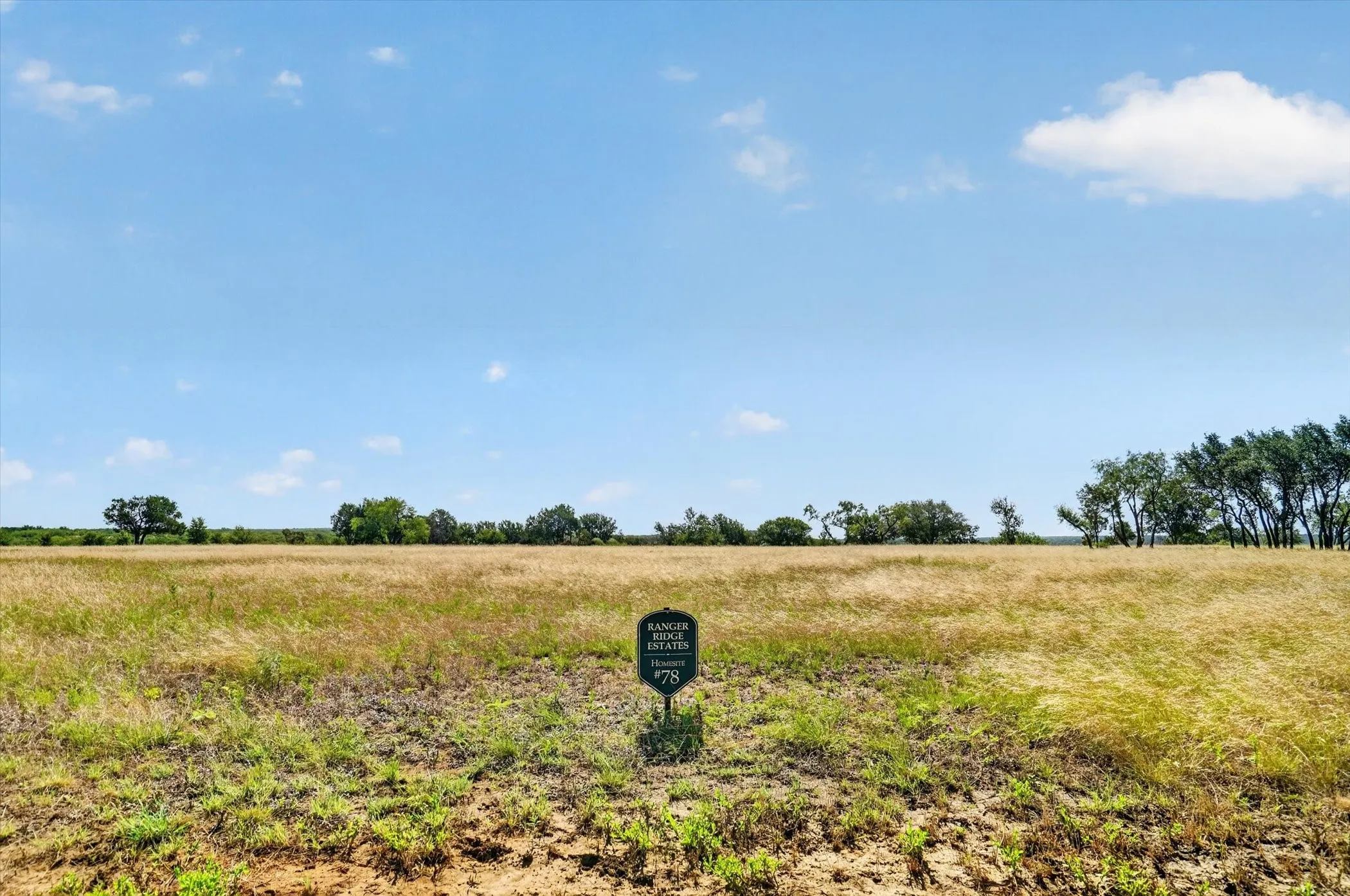 Unimproved Land For Sale in Palo Pinto County , TBD 78 Cavalier Road, Strawn, Texas 76475, 0, 0, Garage spaces, 0 Sqft, built in 0, mls#21297328, Real Estate Agent in Strawn, Homes For Sale in Palo Pinto county, Homes For Sale in Strawn, Realtor in Strawn Texas, Real Estate Brokerage Independent Realty Texas, Luminita Cordes Realtor