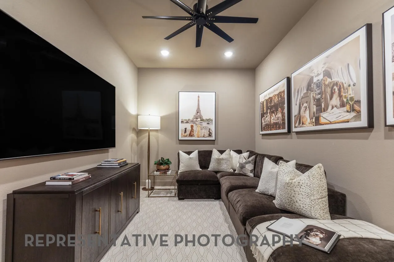Entertainment Room