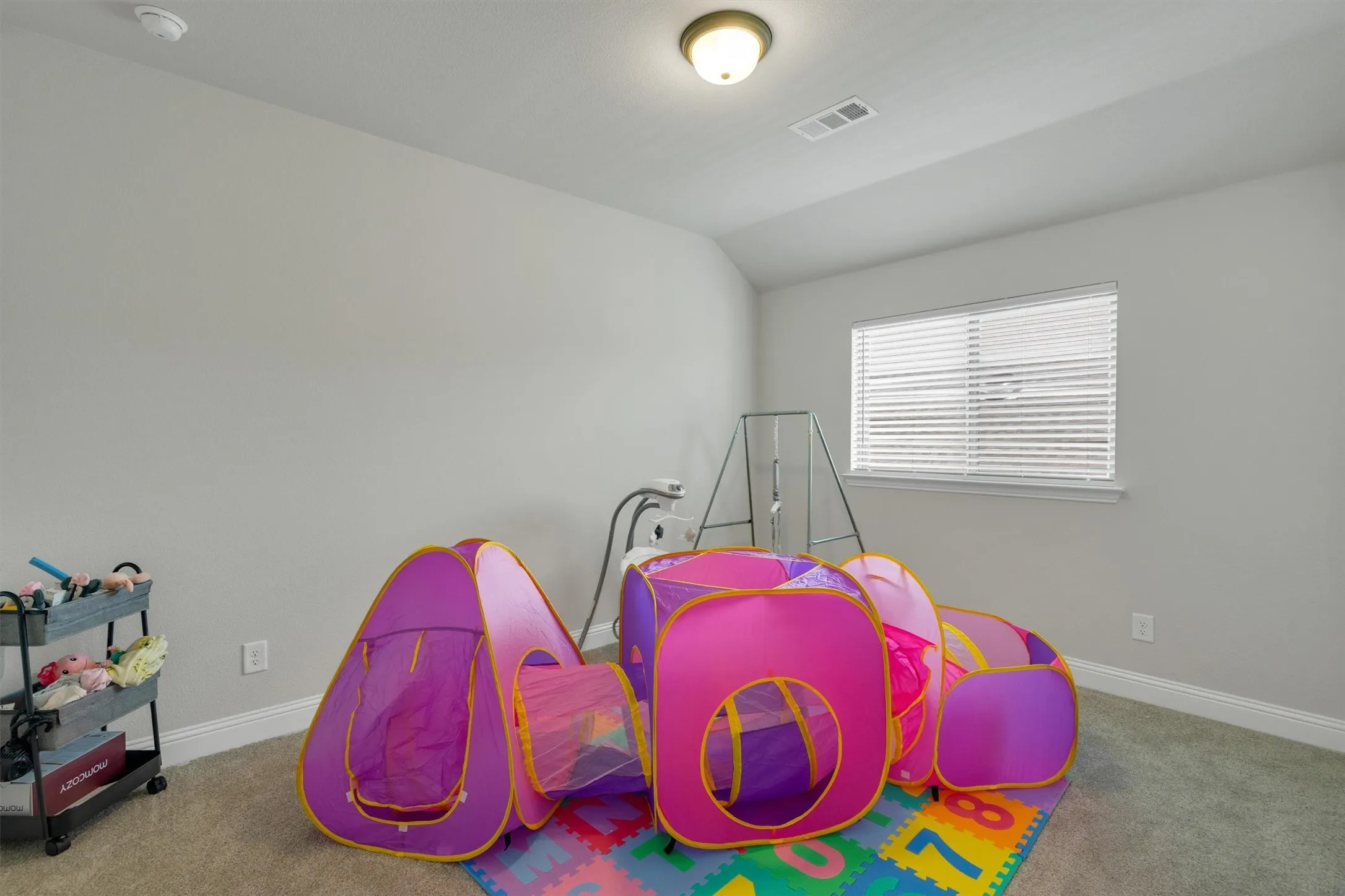 Carpeted room featuring a single window with blinds, ceiling-mounted light fixture, and a built-in smoke detector