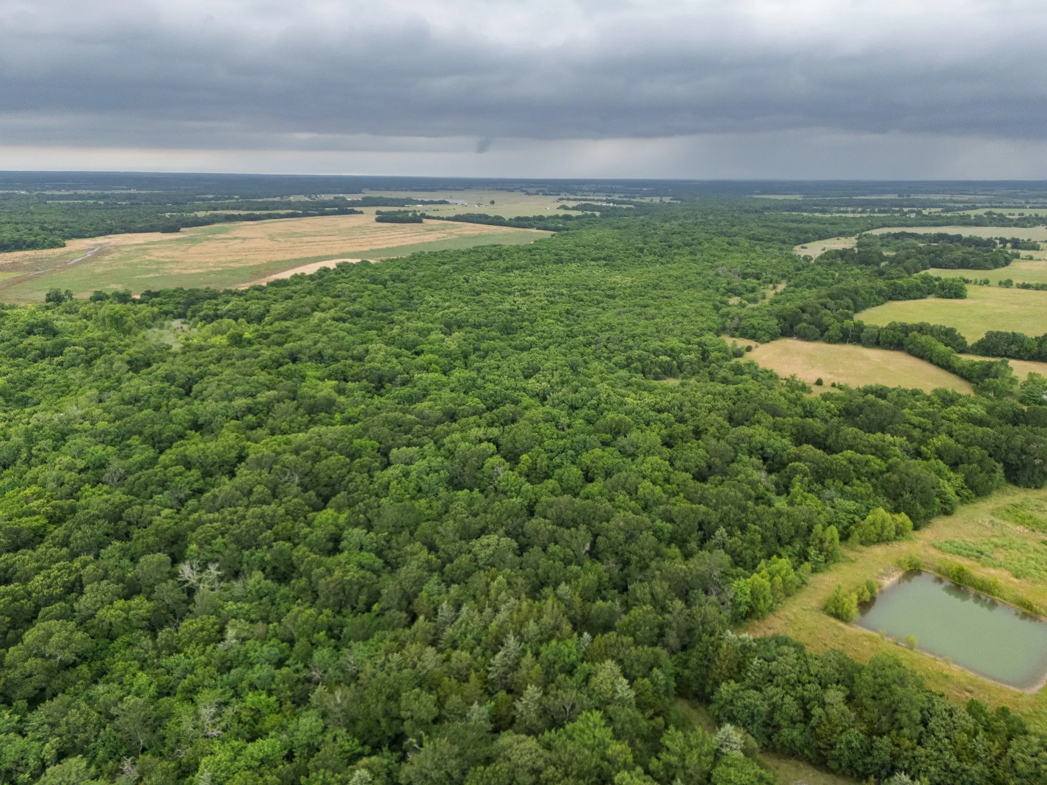Unimproved Land For Sale in Delta County , Tract 9 County Road 2158, Cooper, Texas 75432, 0, 0, Garage spaces, 0 Sqft, built in 0, mls#21300909, Real Estate Agent in Cooper, Homes For Sale in Delta county, Homes For Sale in Cooper, Realtor in Cooper Texas, Real Estate Brokerage Independent Realty Texas, Luminita Cordes Realtor
