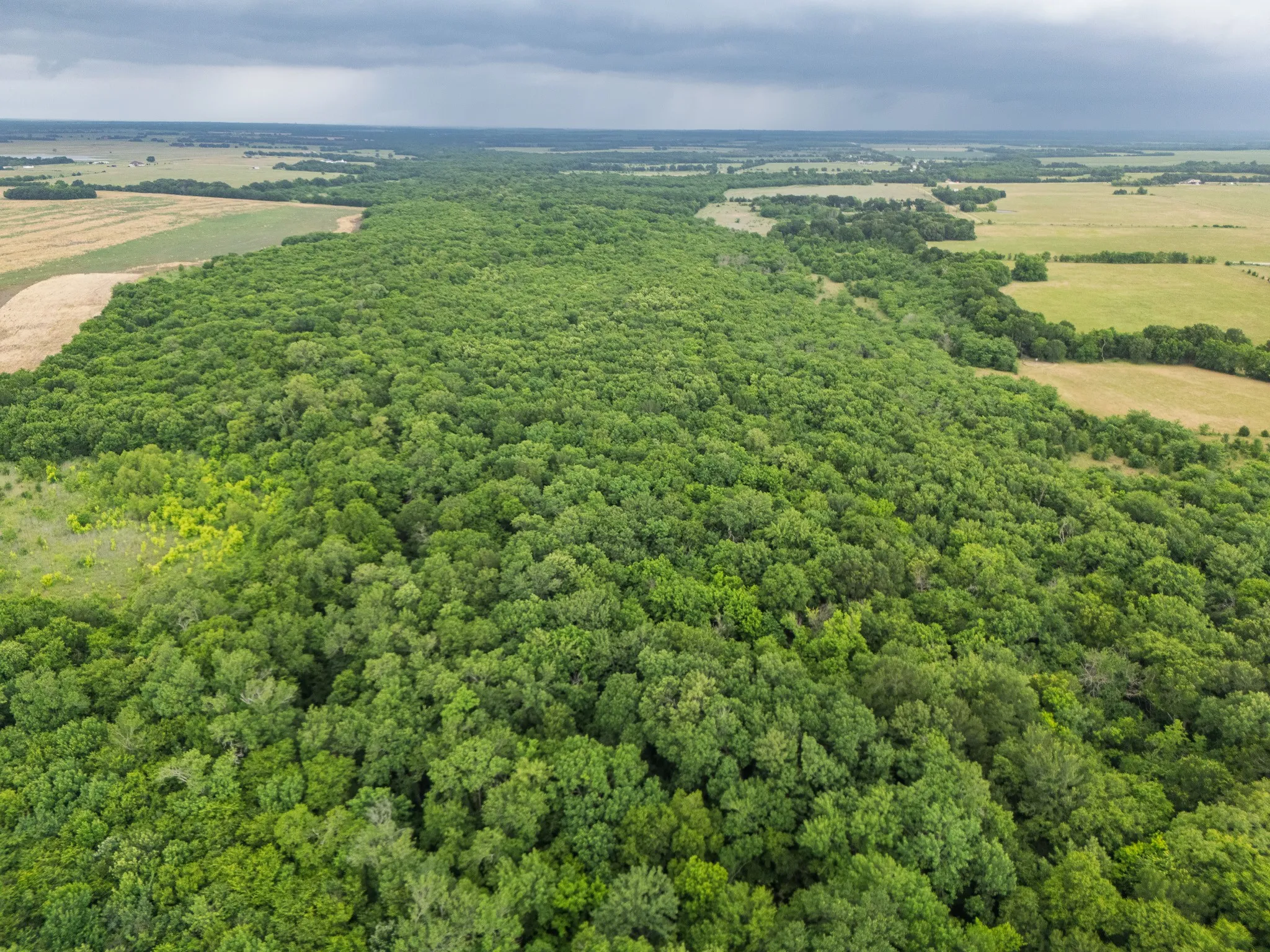 Unimproved Land For Sale in Delta County , Tract 9 County Road 2158, Cooper, Texas 75432, 0, 0, Garage spaces, 0 Sqft, built in 0, mls#21300909, Real Estate Agent in Cooper, Homes For Sale in Delta county, Homes For Sale in Cooper, Realtor in Cooper Texas, Real Estate Brokerage Independent Realty Texas, Luminita Cordes Realtor