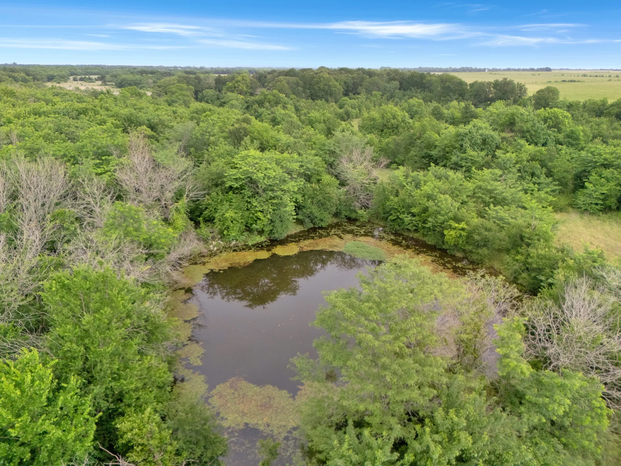 Unimproved Land For Sale in Delta County , Tract 9 County Road 2158, Cooper, Texas 75432, 0, 0, Garage spaces, 0 Sqft, built in 0, mls#21300909, Real Estate Agent in Cooper, Homes For Sale in Delta county, Homes For Sale in Cooper, Realtor in Cooper Texas, Real Estate Brokerage Independent Realty Texas, Luminita Cordes Realtor