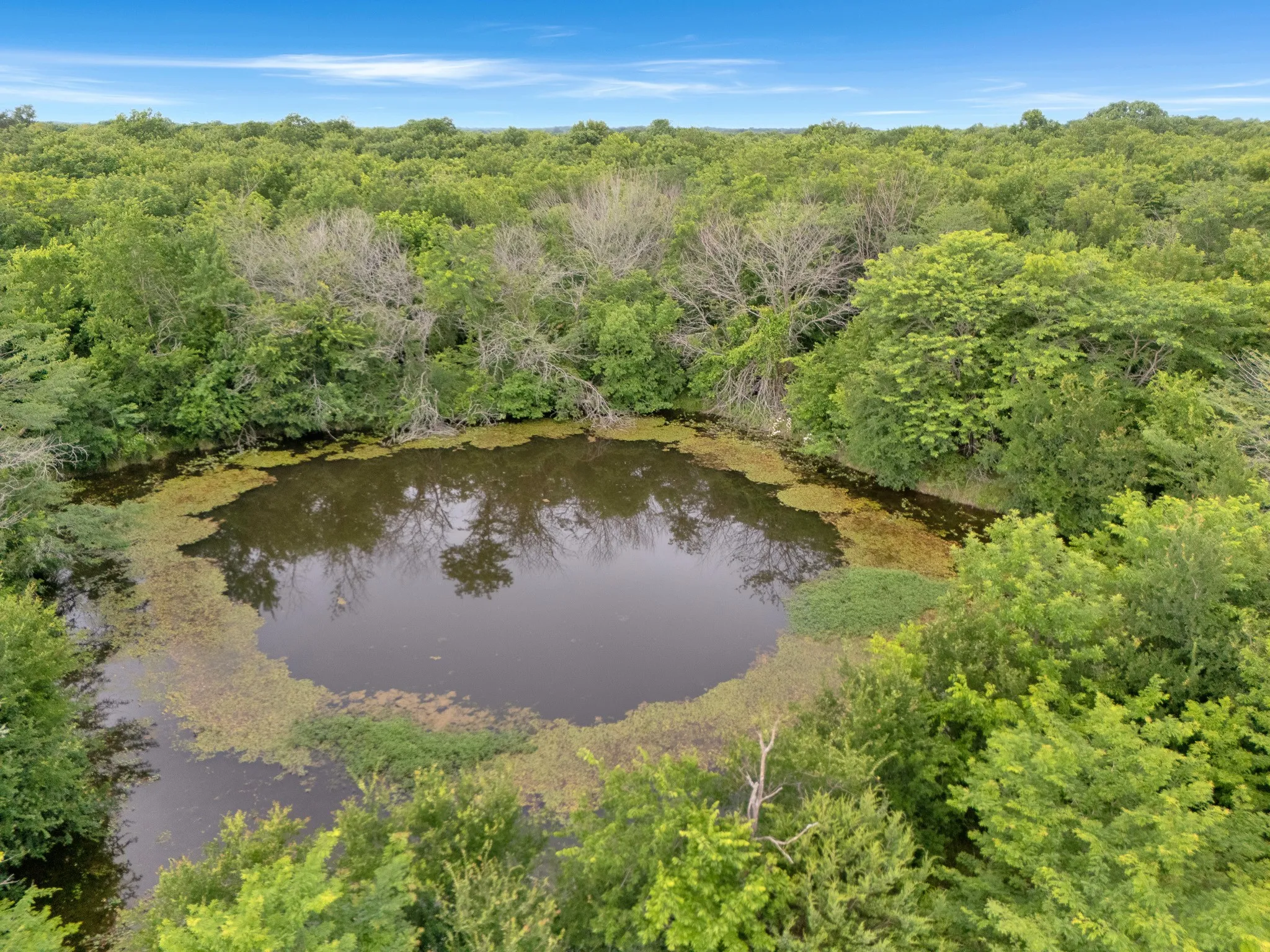 Unimproved Land For Sale in Delta County , Tract 9 County Road 2158, Cooper, Texas 75432, 0, 0, Garage spaces, 0 Sqft, built in 0, mls#21300909, Real Estate Agent in Cooper, Homes For Sale in Delta county, Homes For Sale in Cooper, Realtor in Cooper Texas, Real Estate Brokerage Independent Realty Texas, Luminita Cordes Realtor