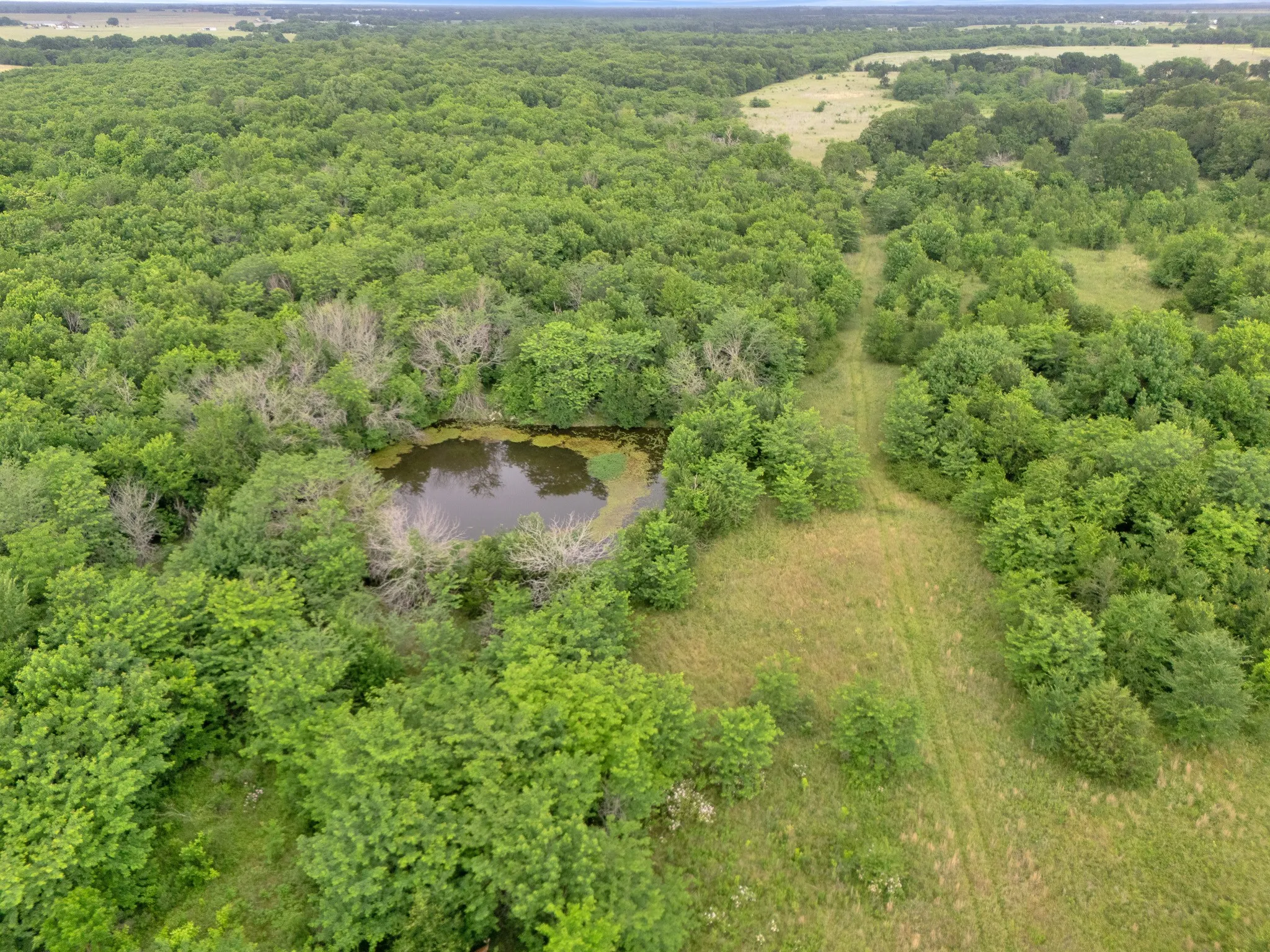 Unimproved Land For Sale in Delta County , Tract 9 County Road 2158, Cooper, Texas 75432, 0, 0, Garage spaces, 0 Sqft, built in 0, mls#21300909, Real Estate Agent in Cooper, Homes For Sale in Delta county, Homes For Sale in Cooper, Realtor in Cooper Texas, Real Estate Brokerage Independent Realty Texas, Luminita Cordes Realtor