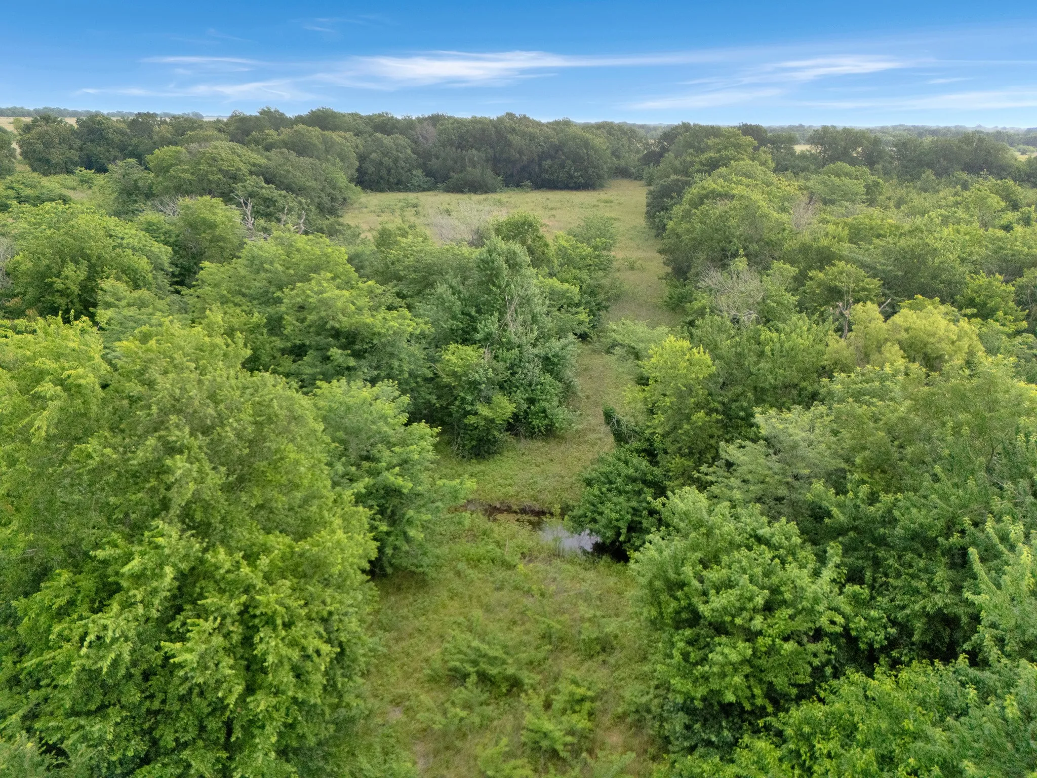 Unimproved Land For Sale in Delta County , Tract 9 County Road 2158, Cooper, Texas 75432, 0, 0, Garage spaces, 0 Sqft, built in 0, mls#21300909, Real Estate Agent in Cooper, Homes For Sale in Delta county, Homes For Sale in Cooper, Realtor in Cooper Texas, Real Estate Brokerage Independent Realty Texas, Luminita Cordes Realtor