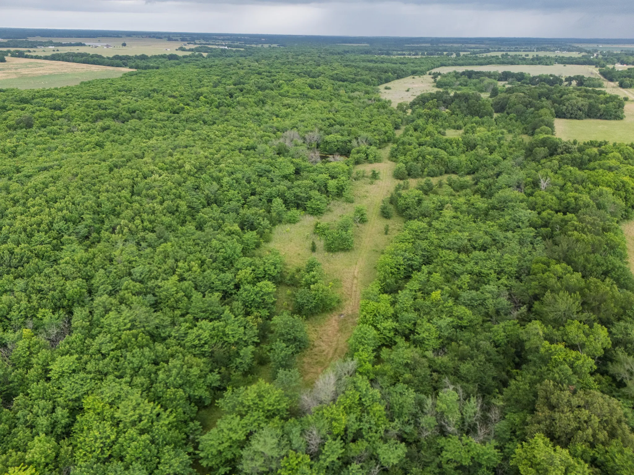 Unimproved Land For Sale in Delta County , Tract 9 County Road 2158, Cooper, Texas 75432, 0, 0, Garage spaces, 0 Sqft, built in 0, mls#21300909, Real Estate Agent in Cooper, Homes For Sale in Delta county, Homes For Sale in Cooper, Realtor in Cooper Texas, Real Estate Brokerage Independent Realty Texas, Luminita Cordes Realtor