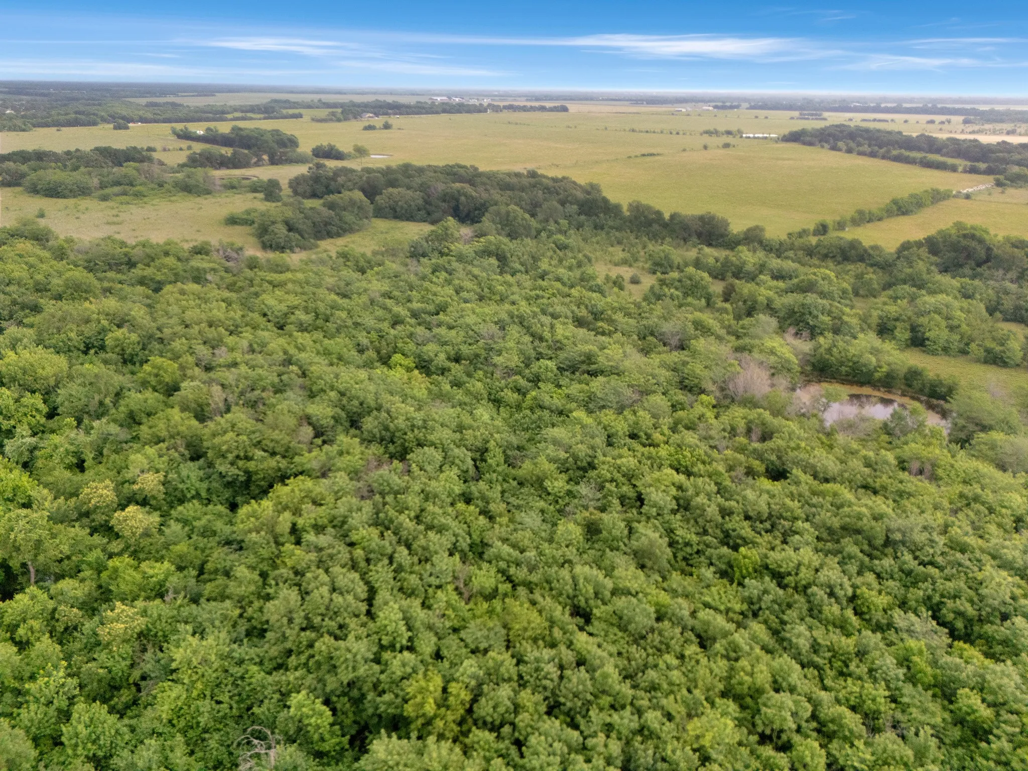 Unimproved Land For Sale in Delta County , Tract 9 County Road 2158, Cooper, Texas 75432, 0, 0, Garage spaces, 0 Sqft, built in 0, mls#21300909, Real Estate Agent in Cooper, Homes For Sale in Delta county, Homes For Sale in Cooper, Realtor in Cooper Texas, Real Estate Brokerage Independent Realty Texas, Luminita Cordes Realtor