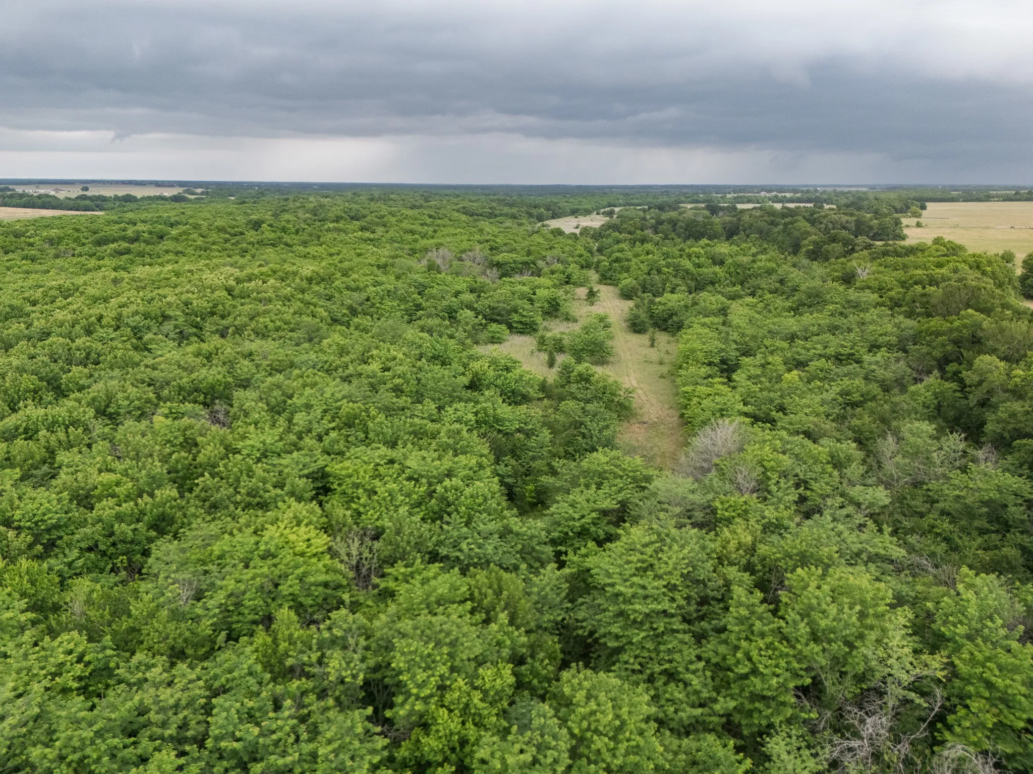 Unimproved Land For Sale in Delta County , Tract 9 County Road 2158, Cooper, Texas 75432, 0, 0, Garage spaces, 0 Sqft, built in 0, mls#21300909, Real Estate Agent in Cooper, Homes For Sale in Delta county, Homes For Sale in Cooper, Realtor in Cooper Texas, Real Estate Brokerage Independent Realty Texas, Luminita Cordes Realtor