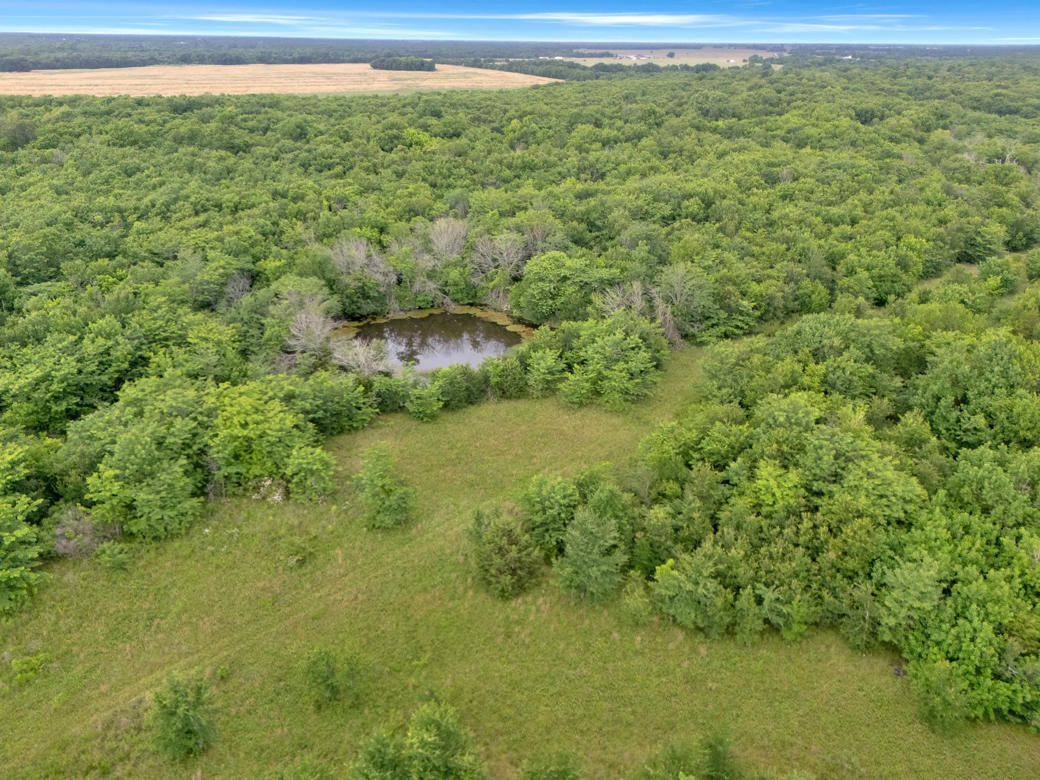 Unimproved Land For Sale in Delta County , Tract 9 County Road 2158, Cooper, Texas 75432, 0, 0, Garage spaces, 0 Sqft, built in 0, mls#21300909, Real Estate Agent in Cooper, Homes For Sale in Delta county, Homes For Sale in Cooper, Realtor in Cooper Texas, Real Estate Brokerage Independent Realty Texas, Luminita Cordes Realtor