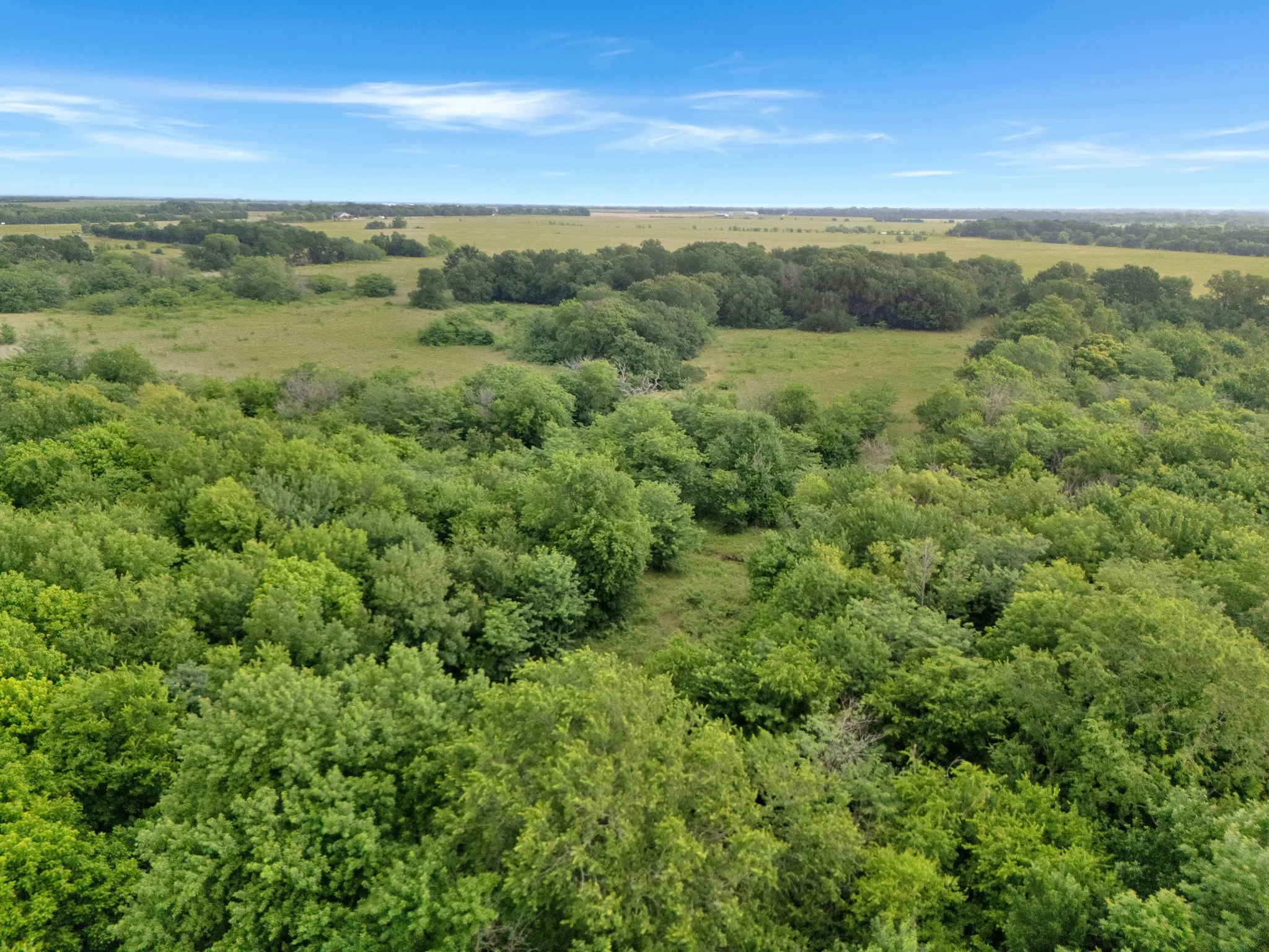 Unimproved Land For Sale in Delta County , Tract 9 County Road 2158, Cooper, Texas 75432, 0, 0, Garage spaces, 0 Sqft, built in 0, mls#21300909, Real Estate Agent in Cooper, Homes For Sale in Delta county, Homes For Sale in Cooper, Realtor in Cooper Texas, Real Estate Brokerage Independent Realty Texas, Luminita Cordes Realtor