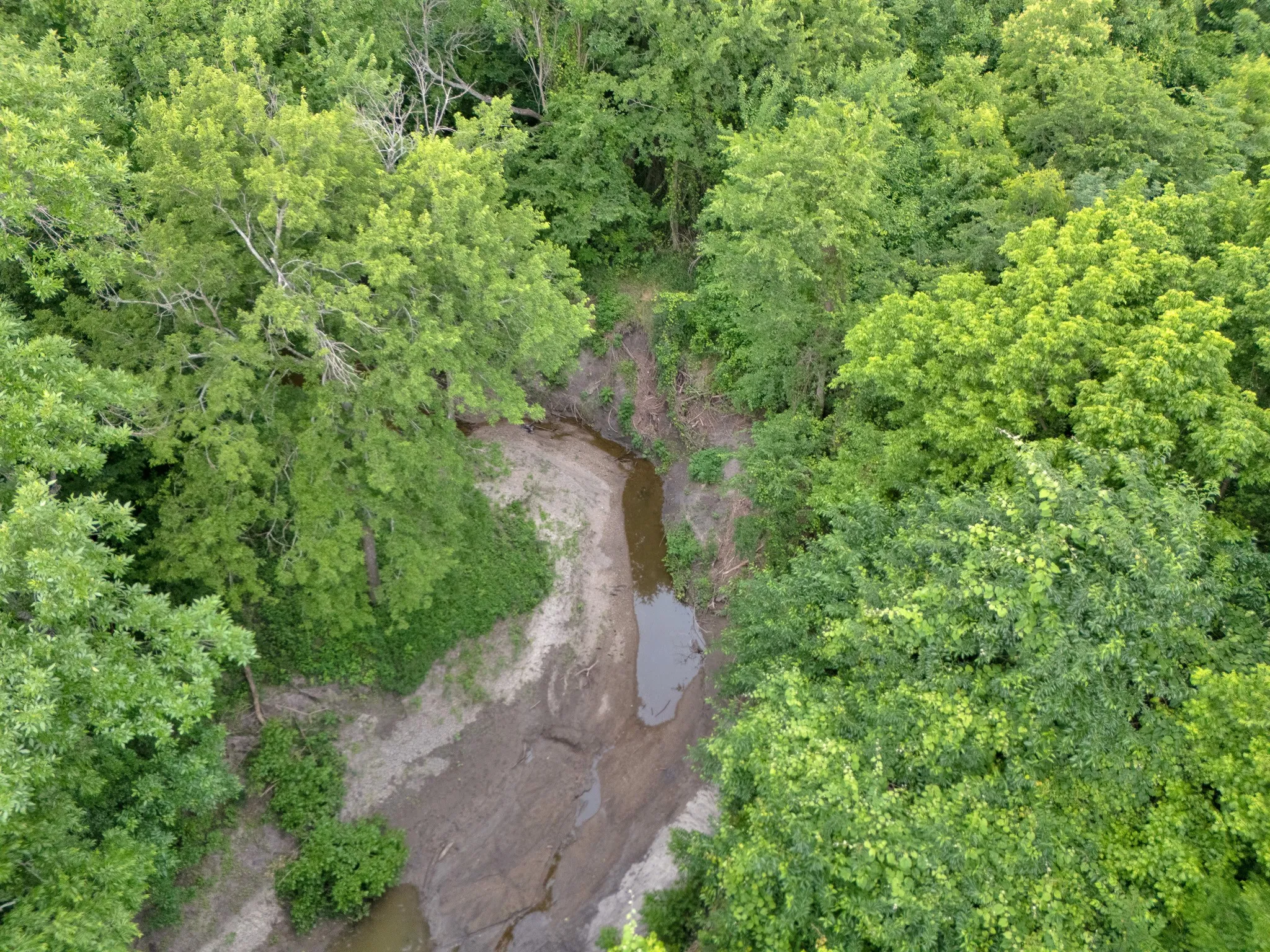 Unimproved Land For Sale in Delta County , Tract 9 County Road 2158, Cooper, Texas 75432, 0, 0, Garage spaces, 0 Sqft, built in 0, mls#21300909, Real Estate Agent in Cooper, Homes For Sale in Delta county, Homes For Sale in Cooper, Realtor in Cooper Texas, Real Estate Brokerage Independent Realty Texas, Luminita Cordes Realtor
