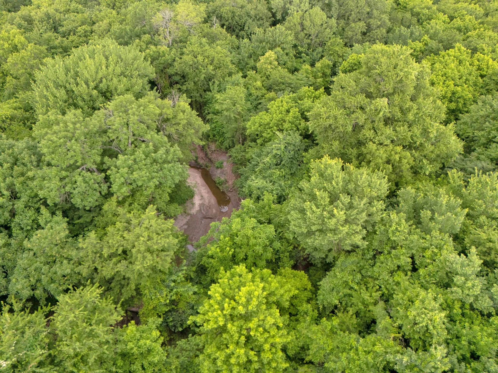 Unimproved Land For Sale in Delta County , Tract 9 County Road 2158, Cooper, Texas 75432, 0, 0, Garage spaces, 0 Sqft, built in 0, mls#21300909, Real Estate Agent in Cooper, Homes For Sale in Delta county, Homes For Sale in Cooper, Realtor in Cooper Texas, Real Estate Brokerage Independent Realty Texas, Luminita Cordes Realtor