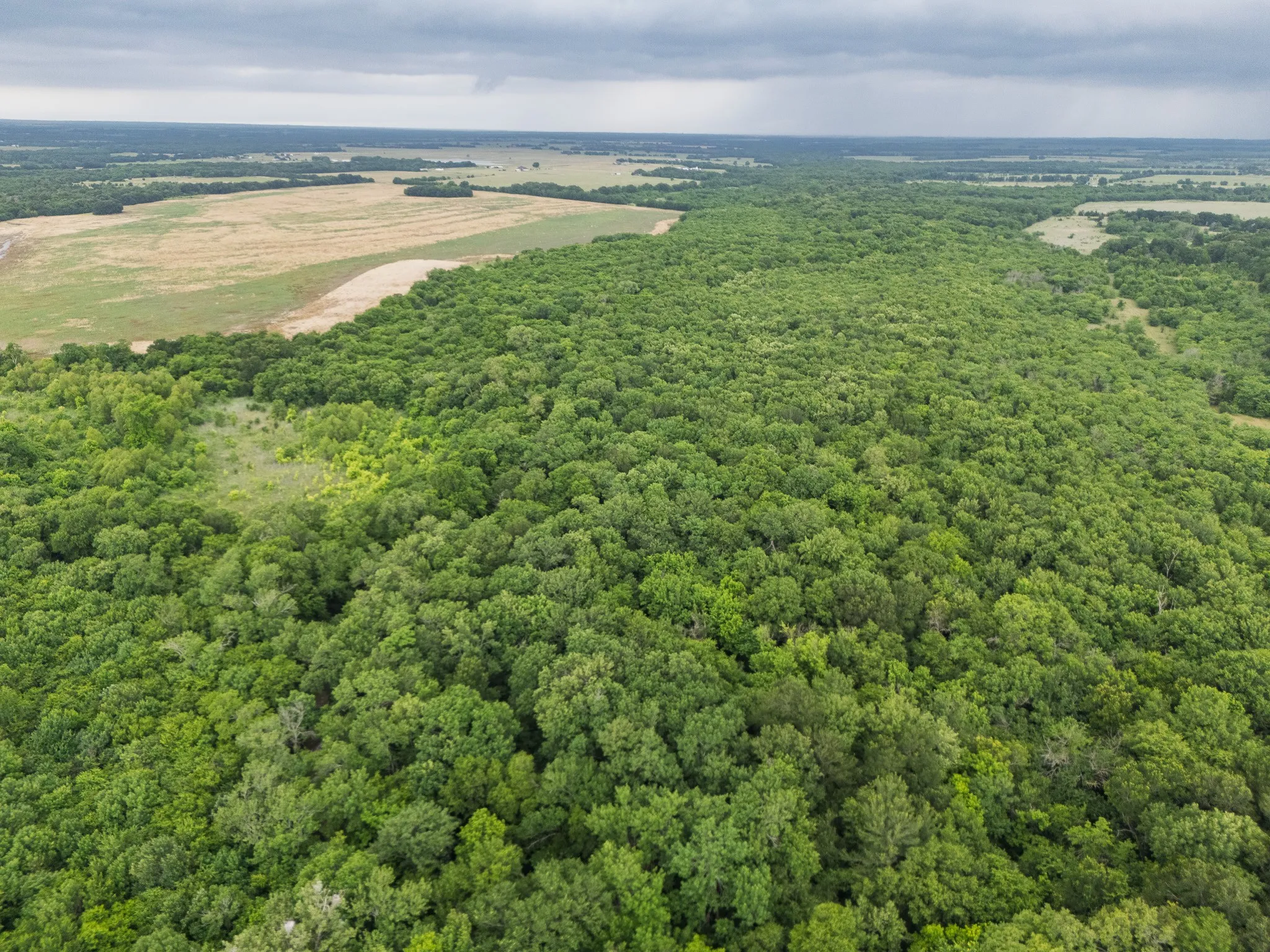 Unimproved Land For Sale in Delta County , Tract 9 County Road 2158, Cooper, Texas 75432, 0, 0, Garage spaces, 0 Sqft, built in 0, mls#21300909, Real Estate Agent in Cooper, Homes For Sale in Delta county, Homes For Sale in Cooper, Realtor in Cooper Texas, Real Estate Brokerage Independent Realty Texas, Luminita Cordes Realtor