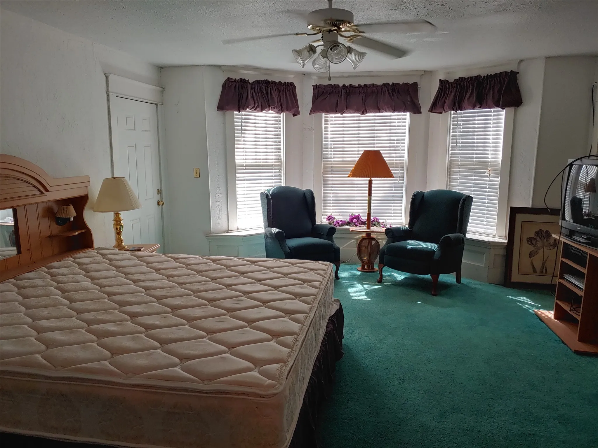 Bay window with three individual windows, a ceiling fan with integrated lighting, and wall-to-wall carpeting