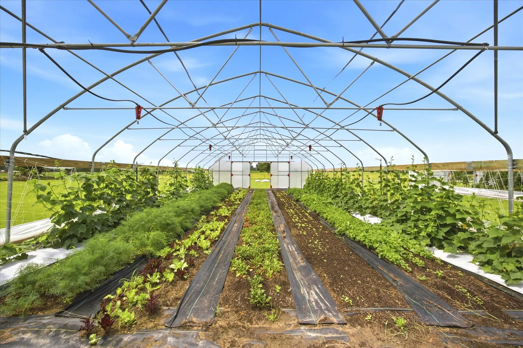 Farm For Sale in Rains County , 4020 FM 515, Emory, Texas 75440, 3 Bedroom, 2 Bathroom, 2 Garage spaces, 2,788 Sqft, built in 2018, mls#21300824, Real Estate Agent in Emory, Homes For Sale in Rains county, Homes For Sale in Emory, Realtor in Emory Texas, Real Estate Brokerage Independent Realty Texas, Luminita Cordes Realtor