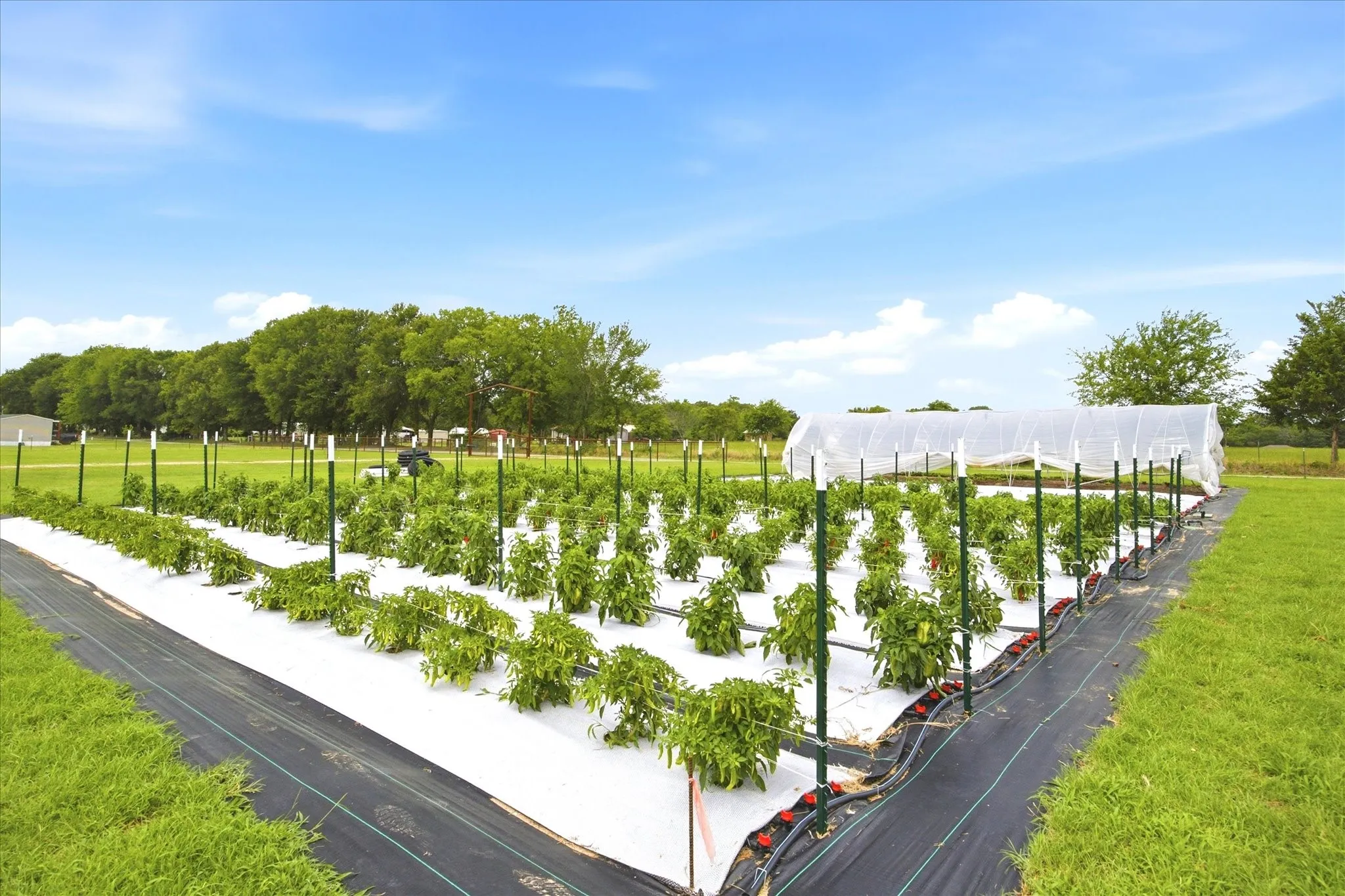 Farm For Sale in Rains County , 4020 FM 515, Emory, Texas 75440, 3 Bedroom, 2 Bathroom, 2 Garage spaces, 2,788 Sqft, built in 2018, mls#21300824, Real Estate Agent in Emory, Homes For Sale in Rains county, Homes For Sale in Emory, Realtor in Emory Texas, Real Estate Brokerage Independent Realty Texas, Luminita Cordes Realtor