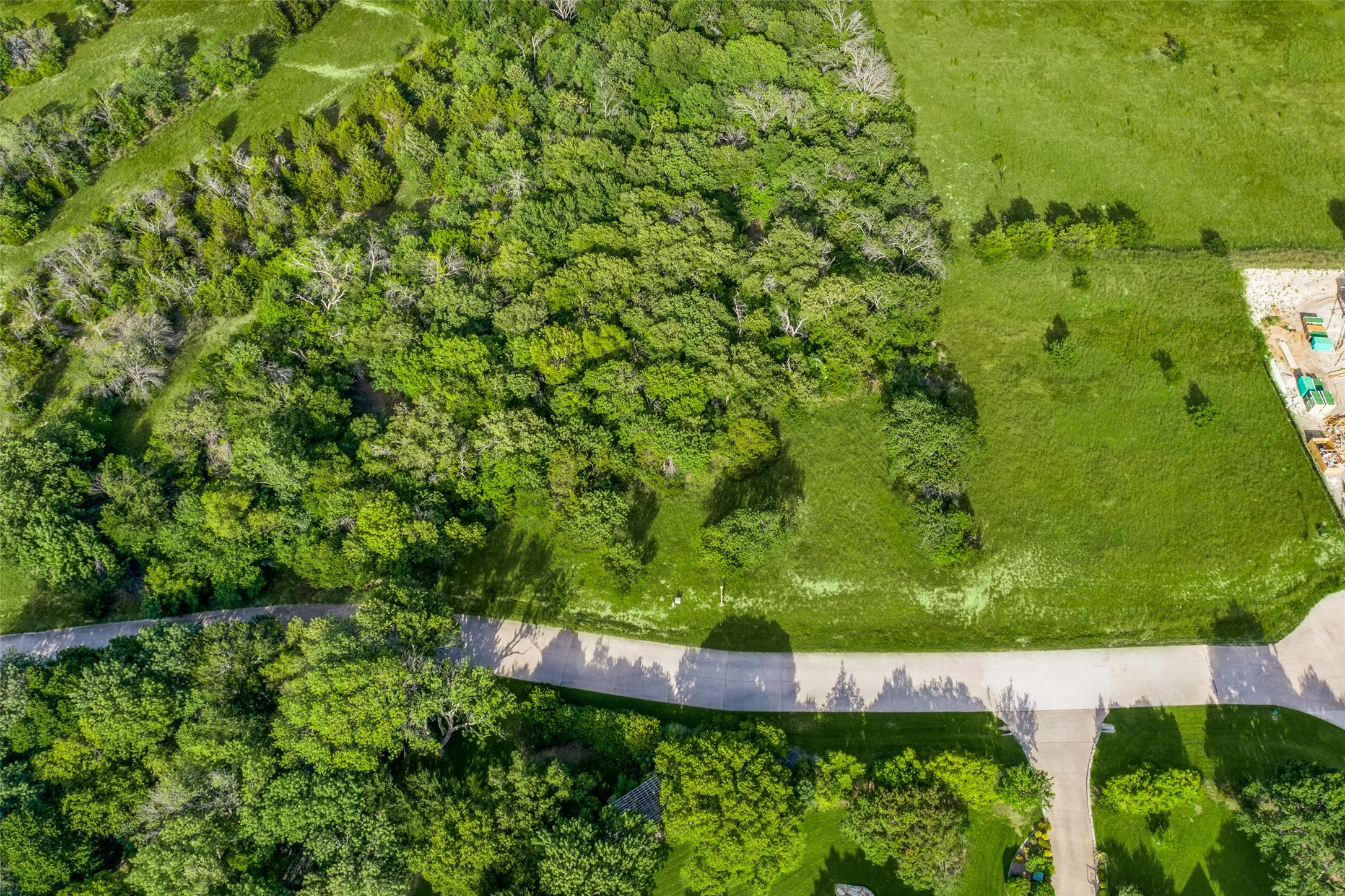 Expansive green space featuring mature trees and a paved roadway