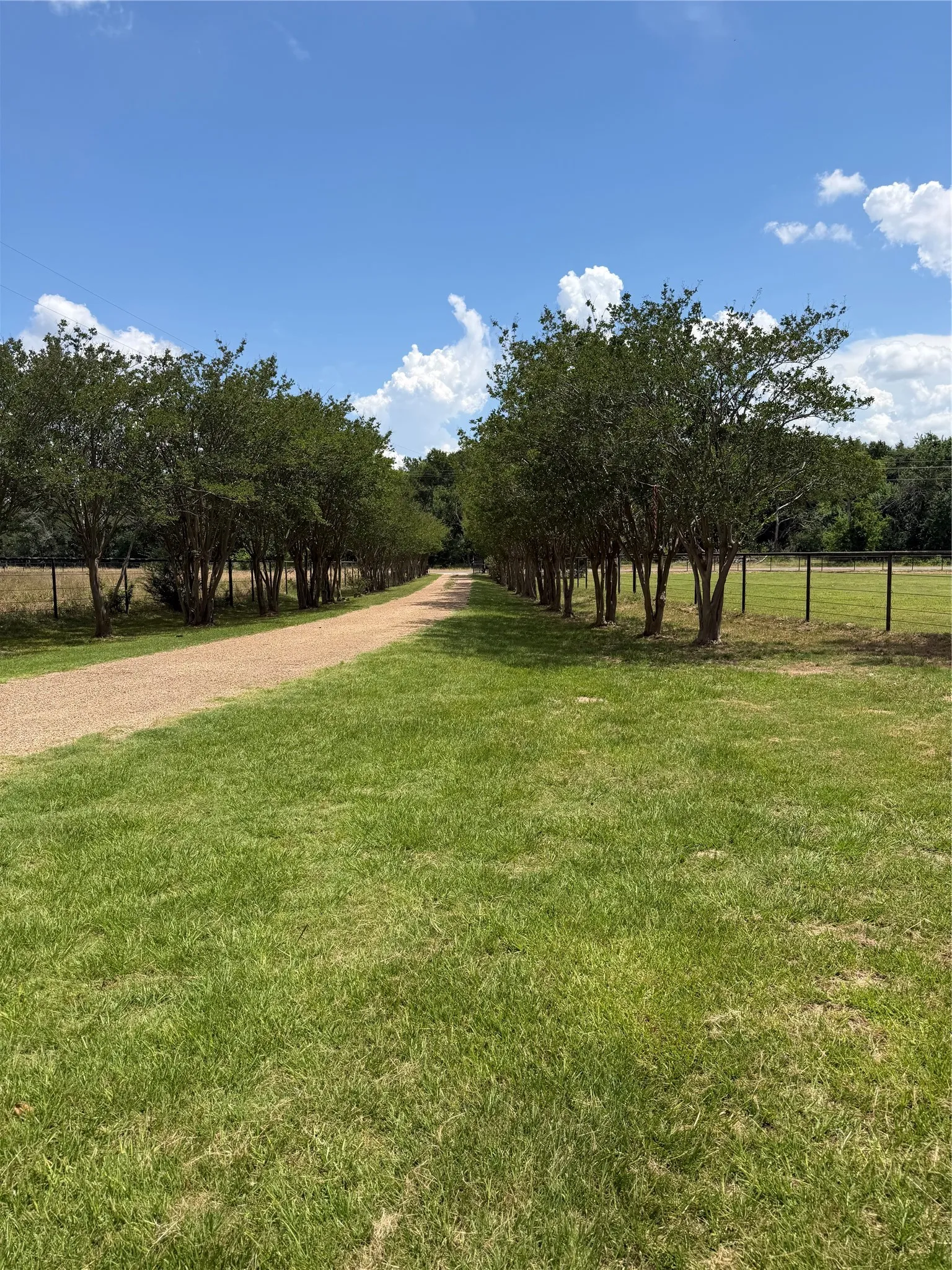 Single Family Residence For Sale in Kaufman County , 12225 Fm 429, Terrell, Texas 75161, 3 Bedroom, 2 Bathroom, Garage spaces, 1,633 Sqft, built in 2002, mls#21290201, Real Estate Agent in Terrell, Homes For Sale in Kaufman county, Homes For Sale in Terrell, Realtor in Terrell Texas, Real Estate Brokerage Independent Realty Texas, Luminita Cordes Realtor