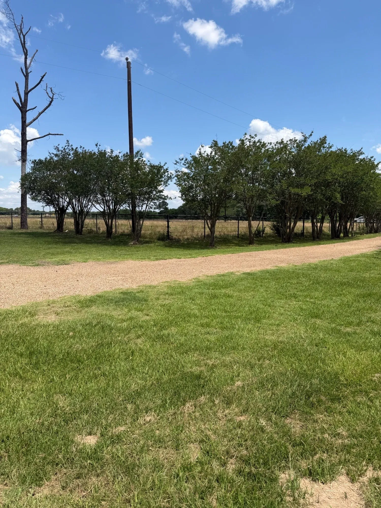 Single Family Residence For Sale in Kaufman County , 12225 Fm 429, Terrell, Texas 75161, 3 Bedroom, 2 Bathroom, Garage spaces, 1,633 Sqft, built in 2002, mls#21290201, Real Estate Agent in Terrell, Homes For Sale in Kaufman county, Homes For Sale in Terrell, Realtor in Terrell Texas, Real Estate Brokerage Independent Realty Texas, Luminita Cordes Realtor