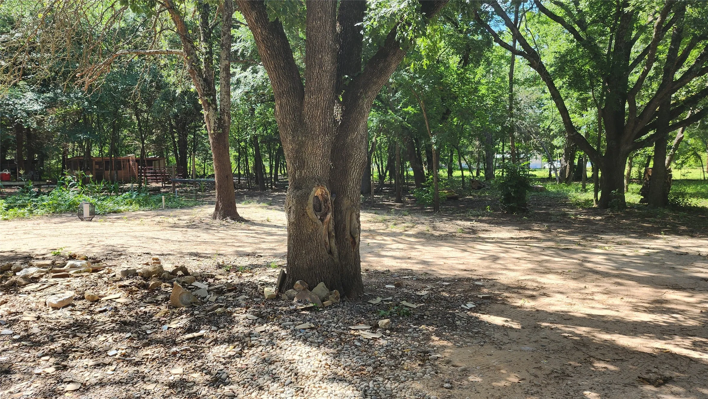 Single Family Residence For Sale in Van Zandt County , 123 Private Road 7827, Wills Point, Texas 75169, 3 Bedroom, 1 Bathroom, Garage spaces, 1,392 Sqft, built in 1977, mls#21301076, Real Estate Agent in Wills Point, Homes For Sale in Van Zandt county, Homes For Sale in Wills Point, Realtor in Wills Point Texas, Real Estate Brokerage Independent Realty Texas, Luminita Cordes Realtor